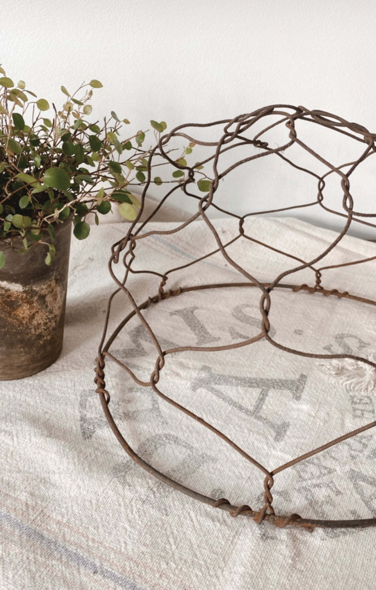 Antique Wire Horse Muzzle