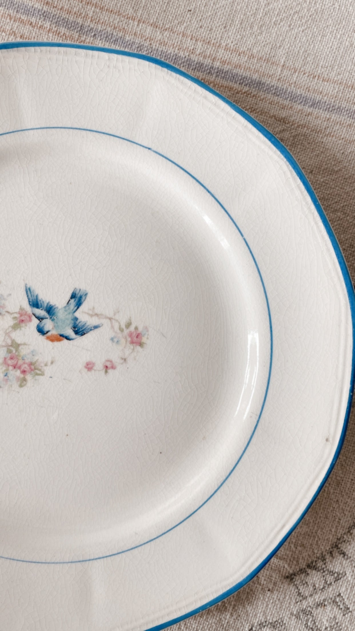 19th Century Ironstone Plates