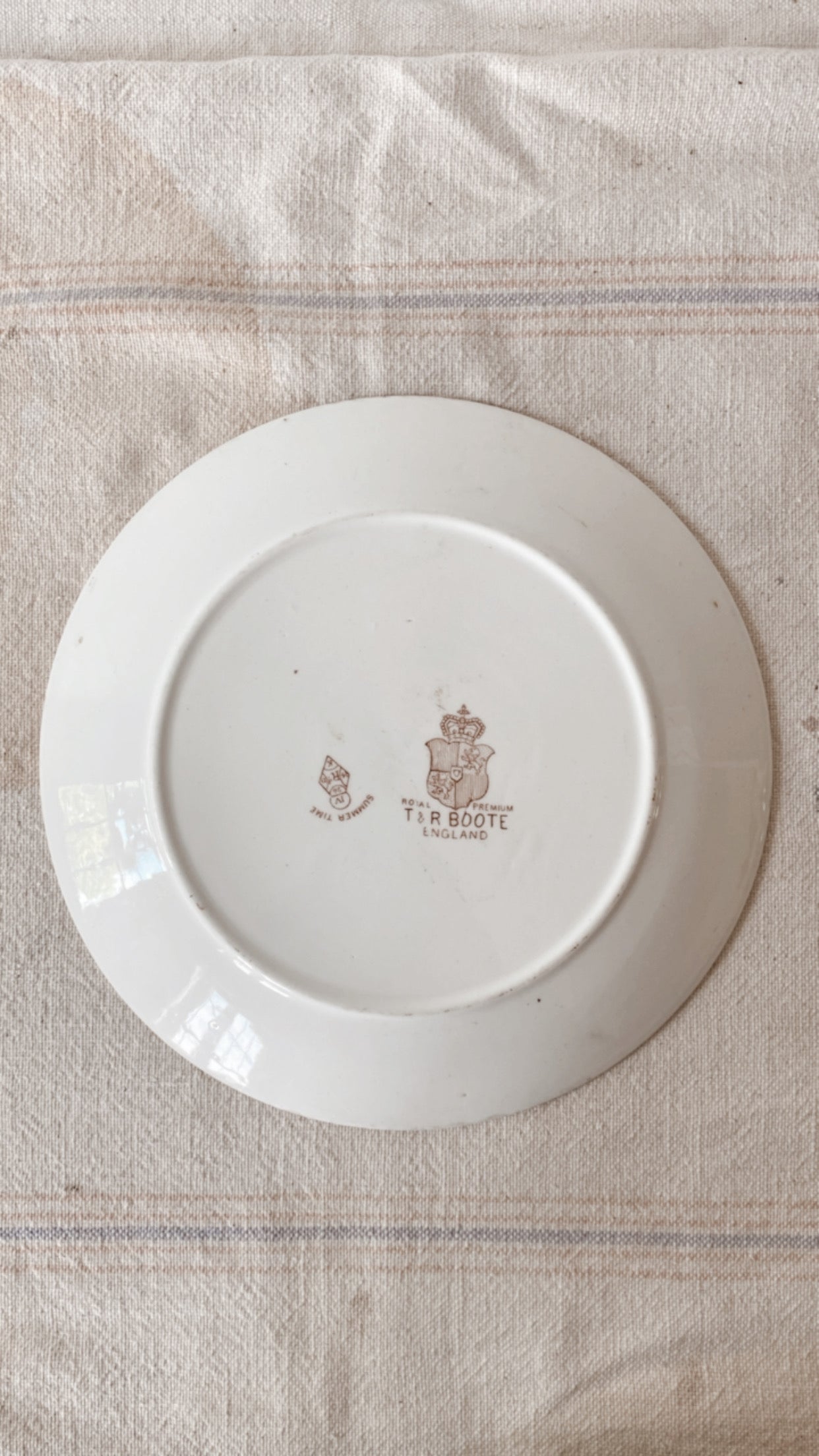 19th Century Ironstone Aesthetic Plate