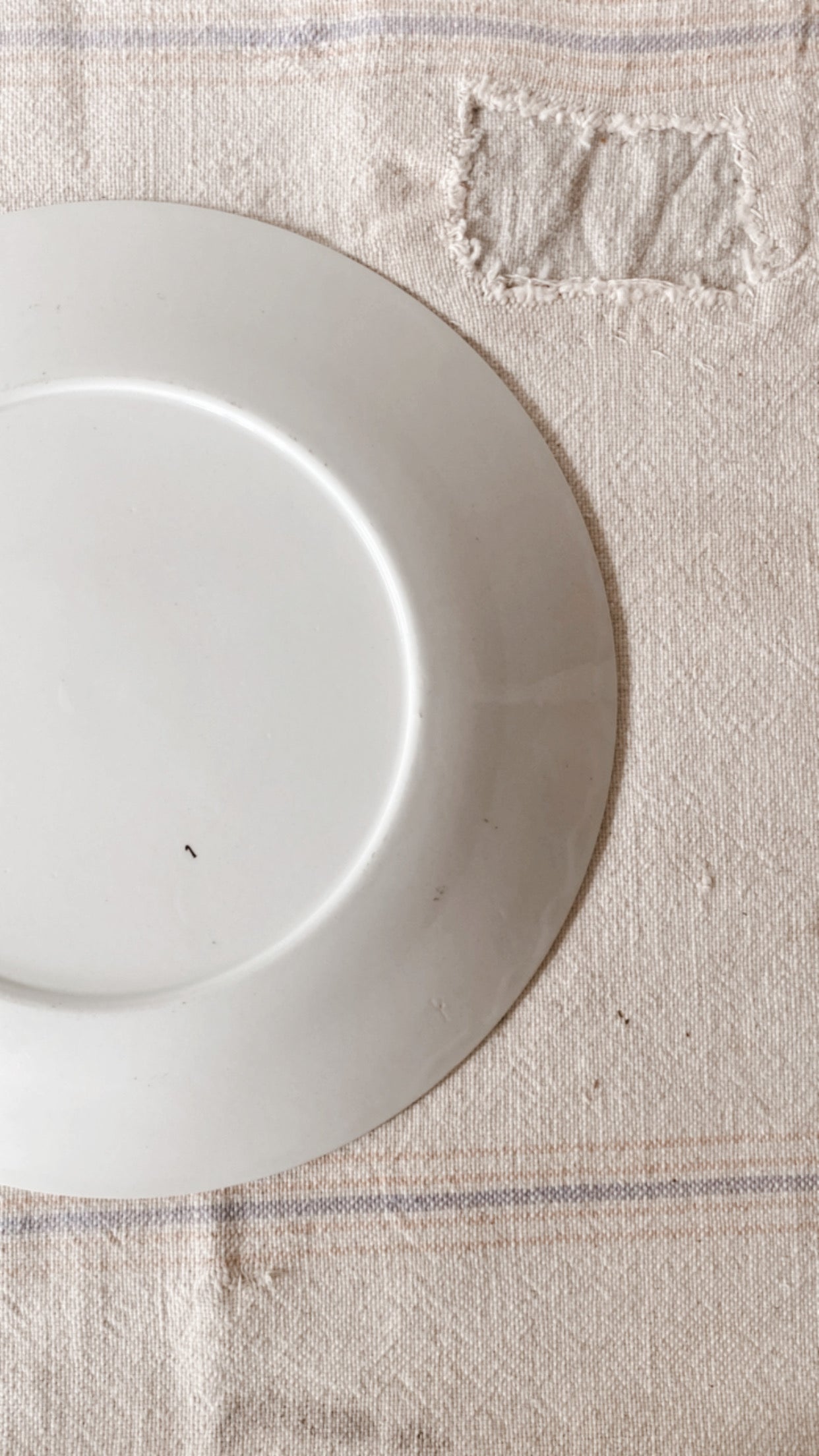 19th Century Aesthetic Ironstone Plate Collection