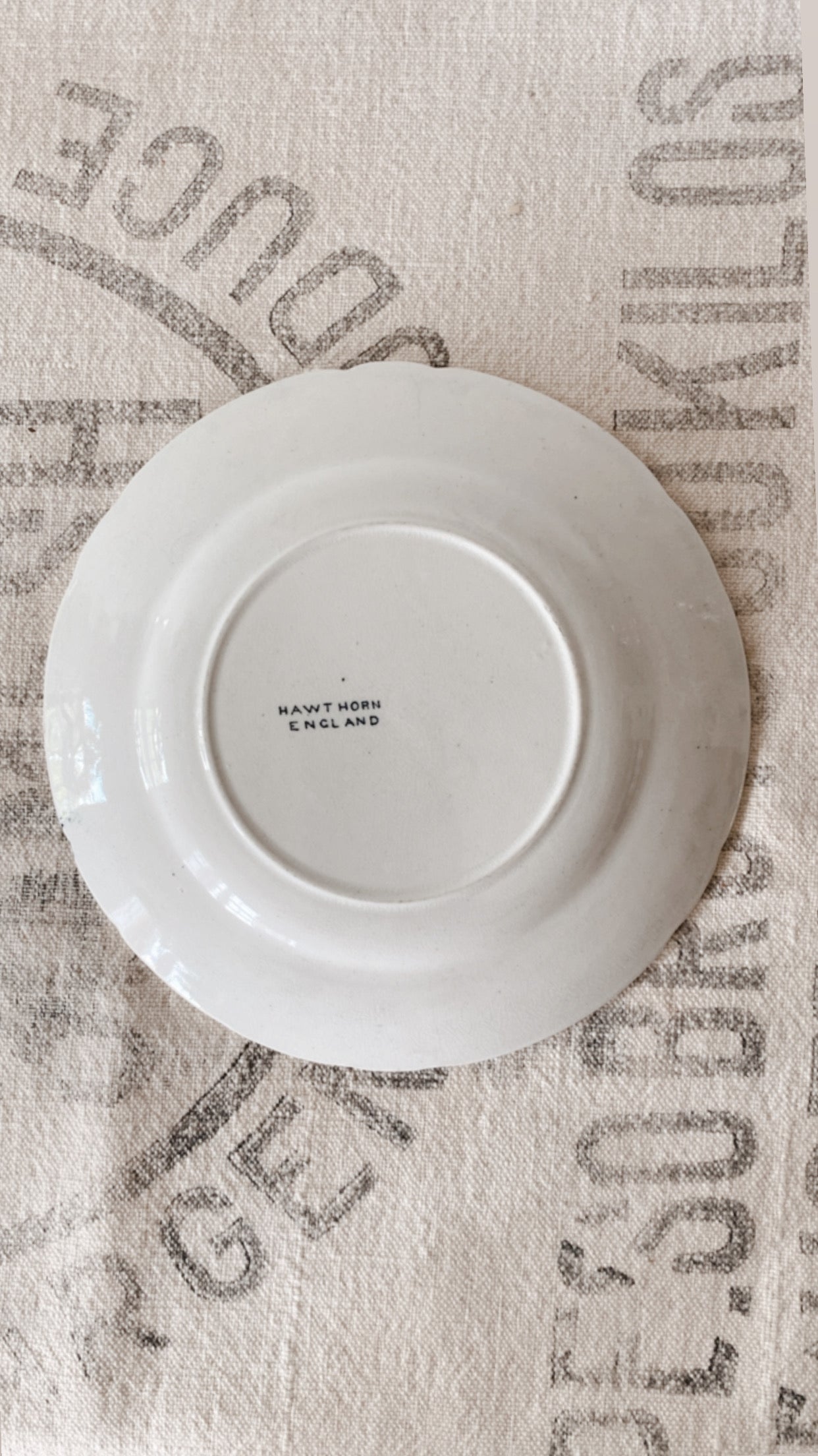 Antique Ironstone Plate