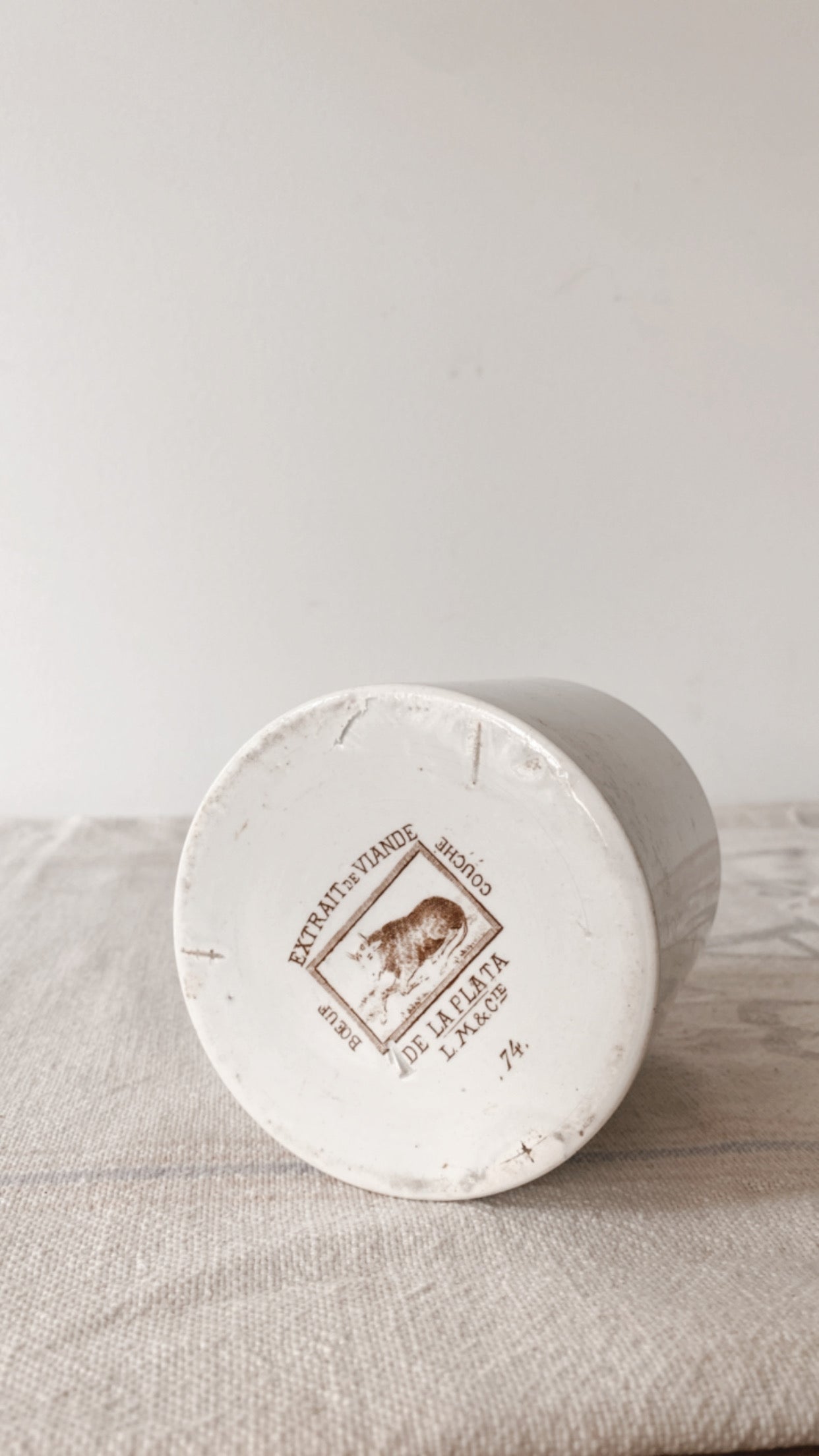 19th Century French Ironstone Mustard Pot