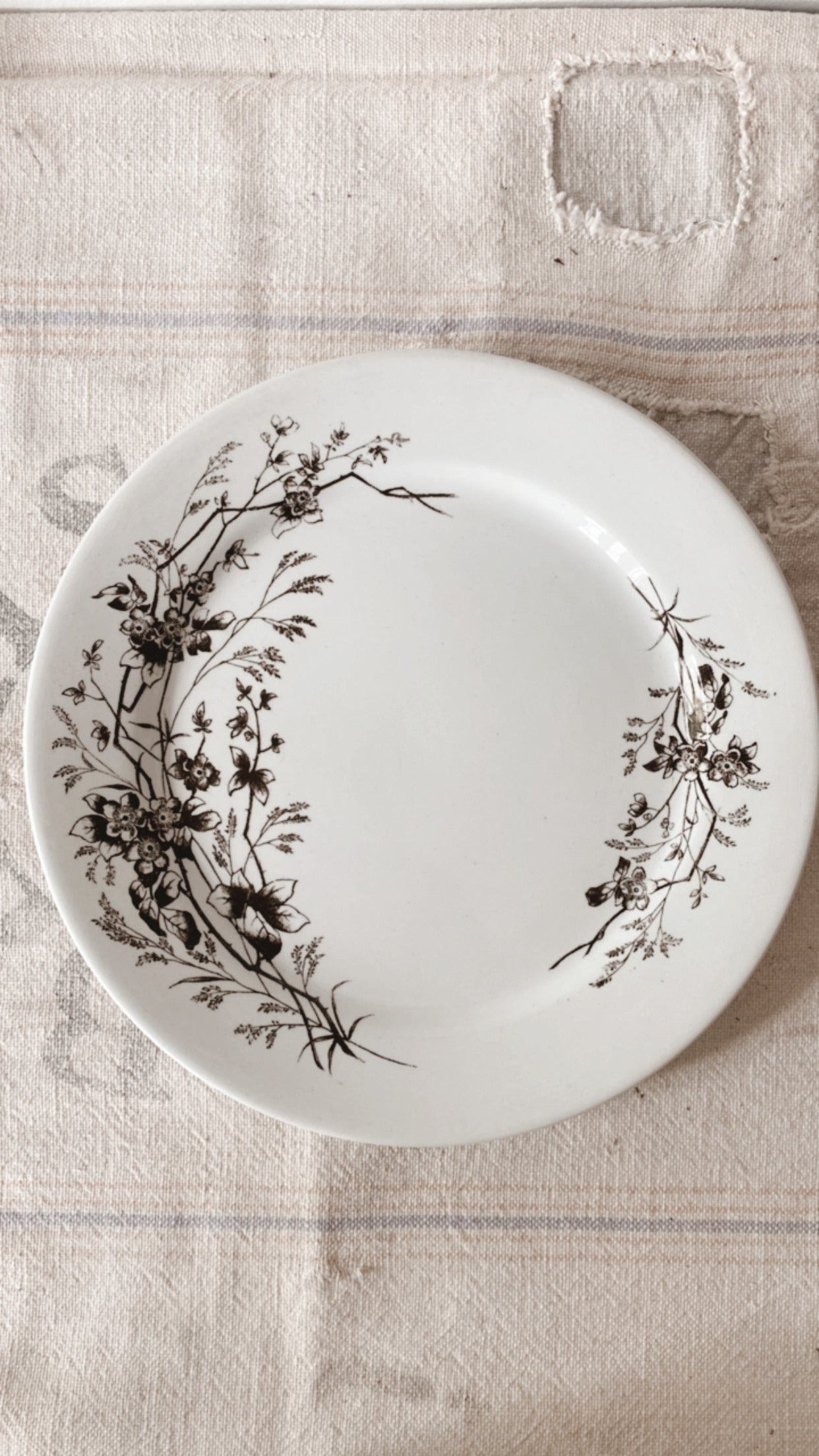 19th Century Aesthetic Ironstone Plate Collection