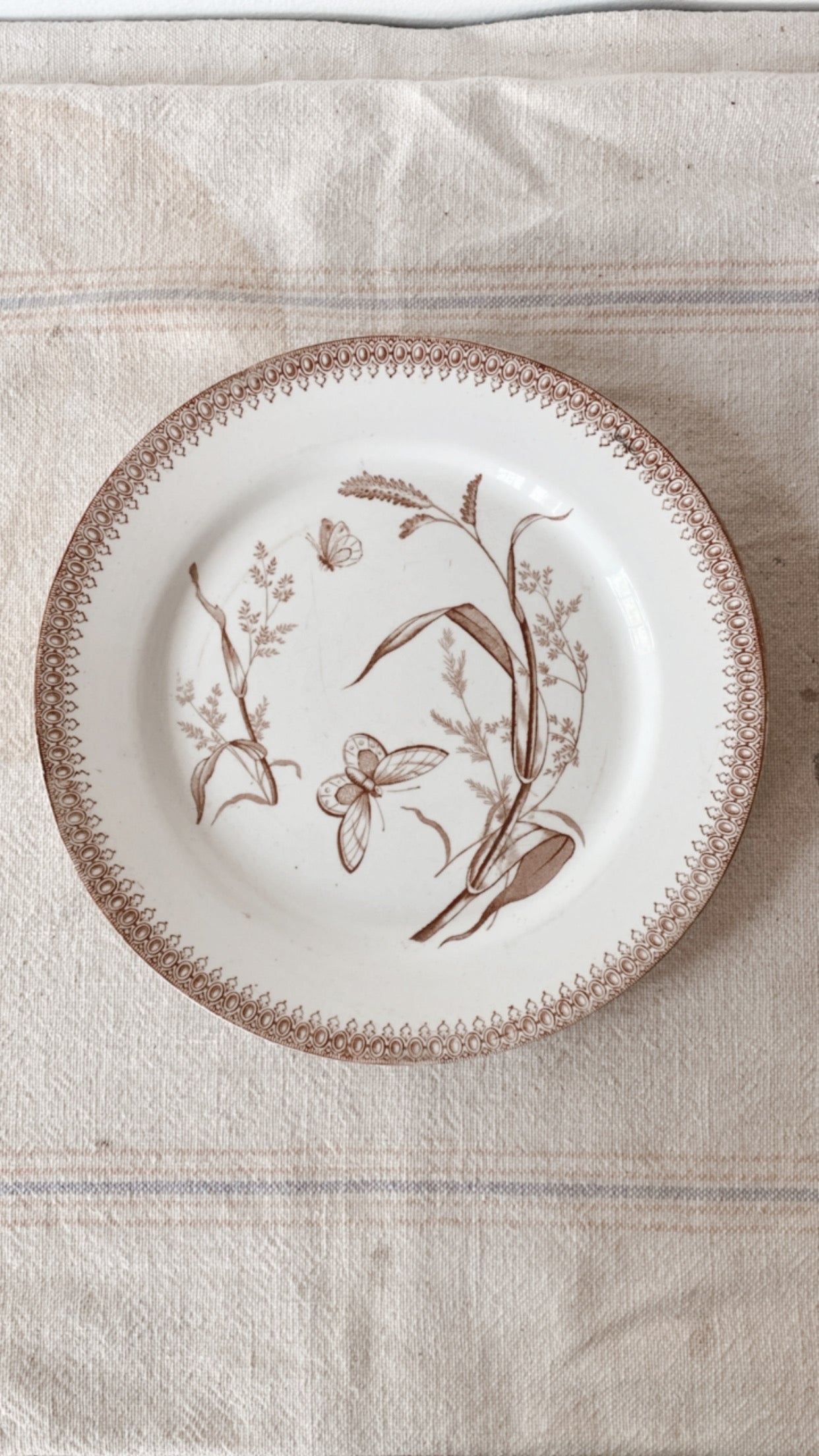 19th Century Ironstone Aesthetic Plate