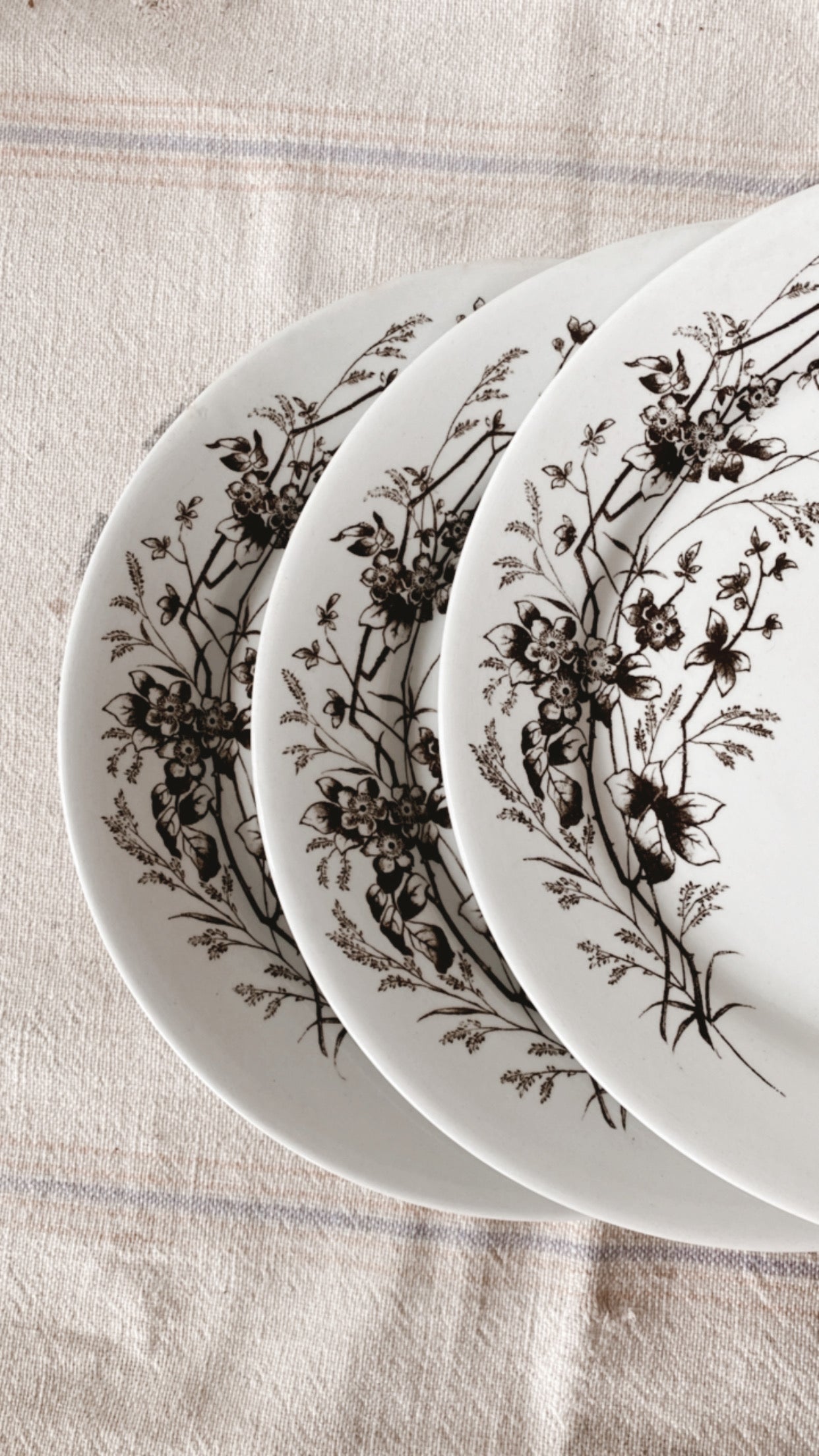 19th Century Aesthetic Ironstone Plate Collection