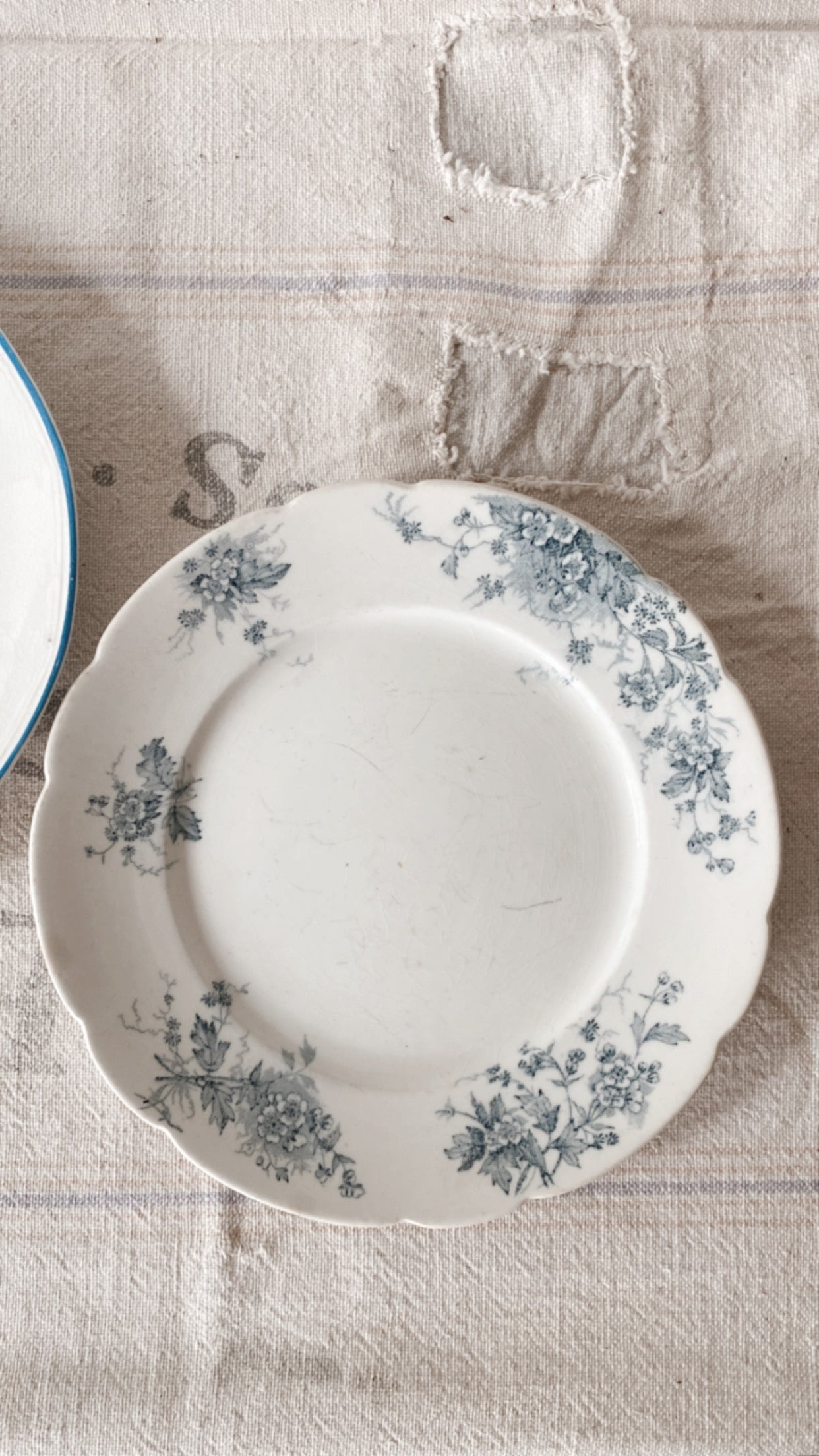 19th Century Ironstone Plates