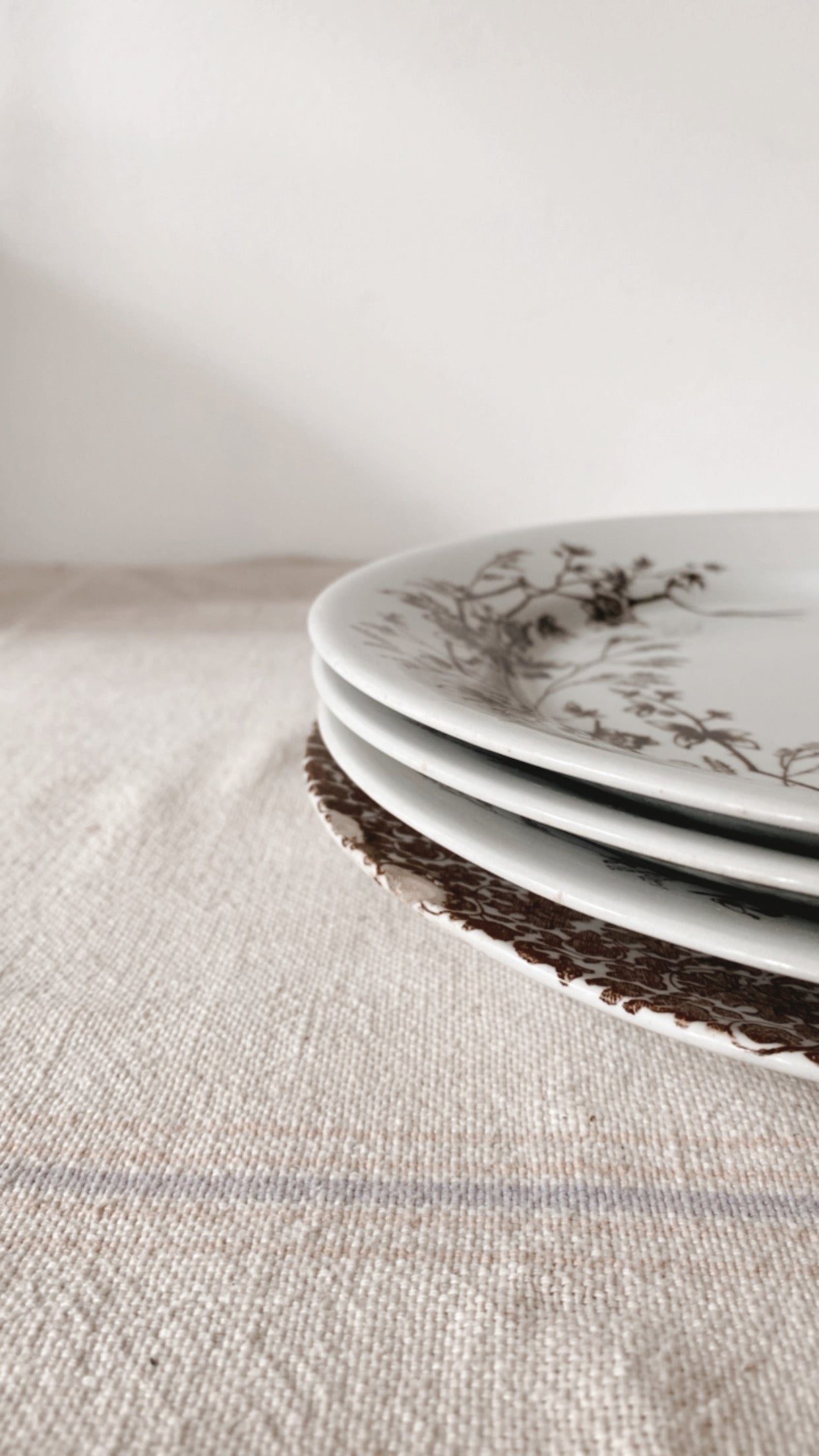 19th Century Aesthetic Ironstone Plate Collection