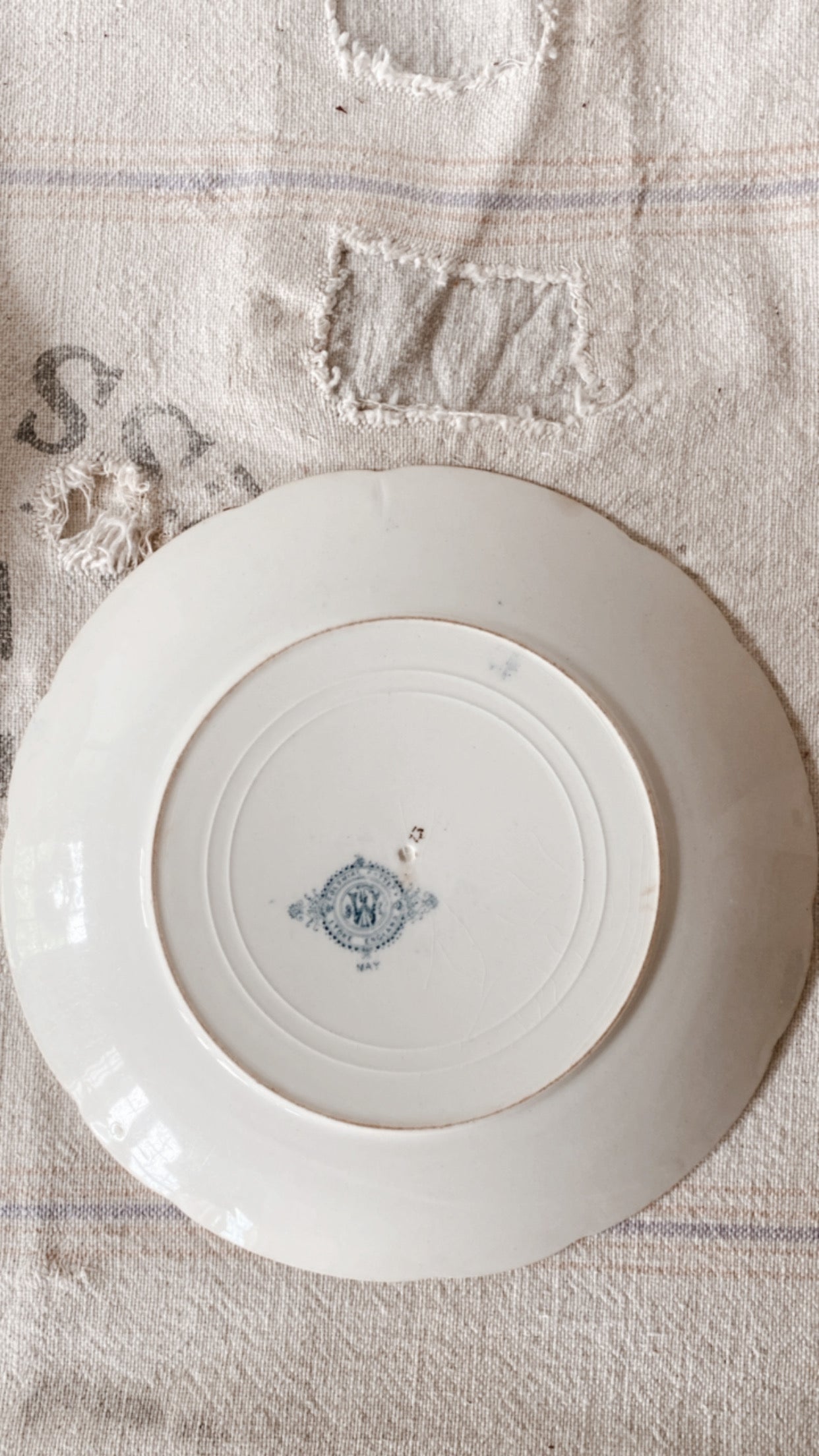 19th Century Ironstone Plates