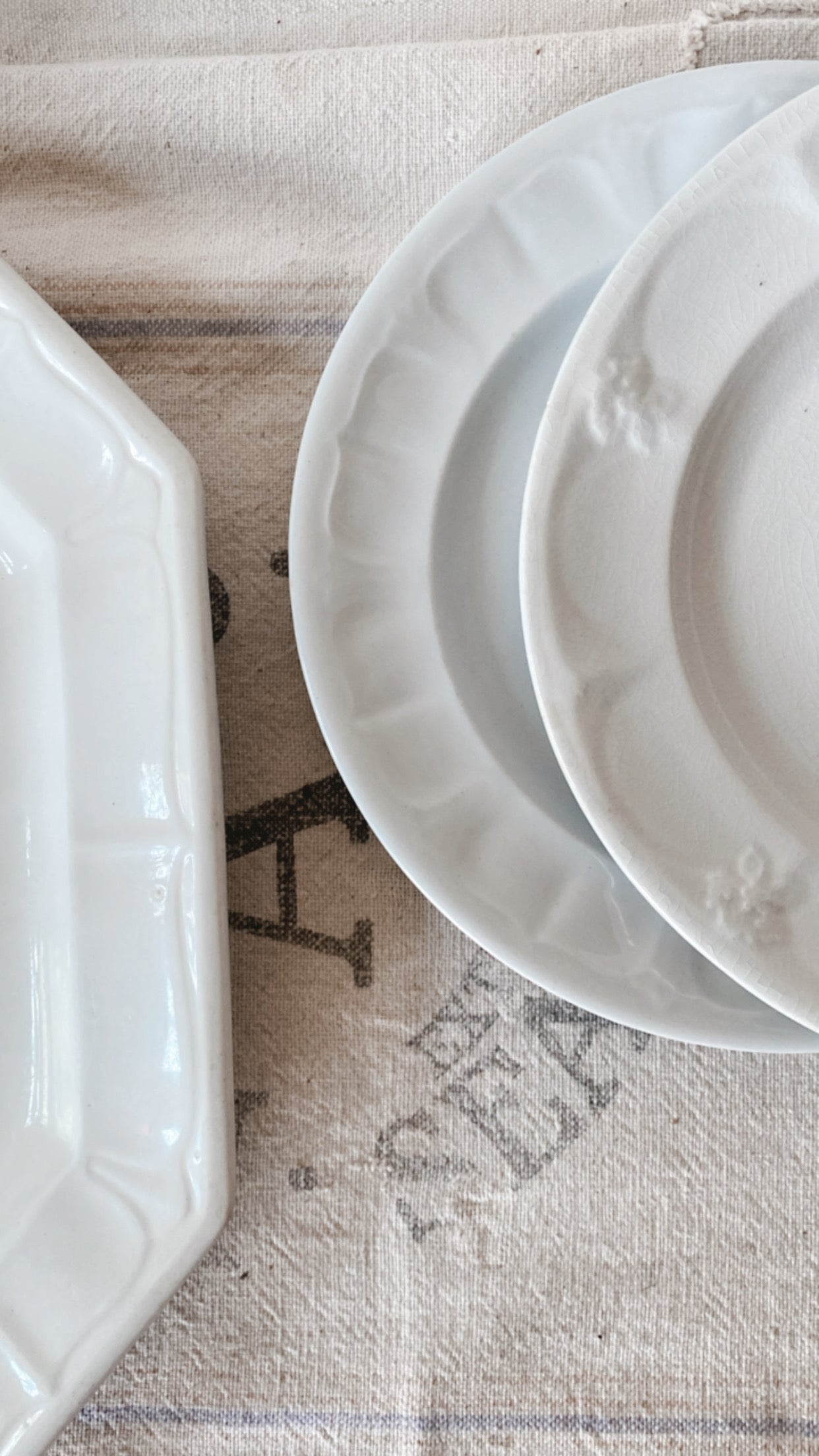 19th Century Ironstone Collection