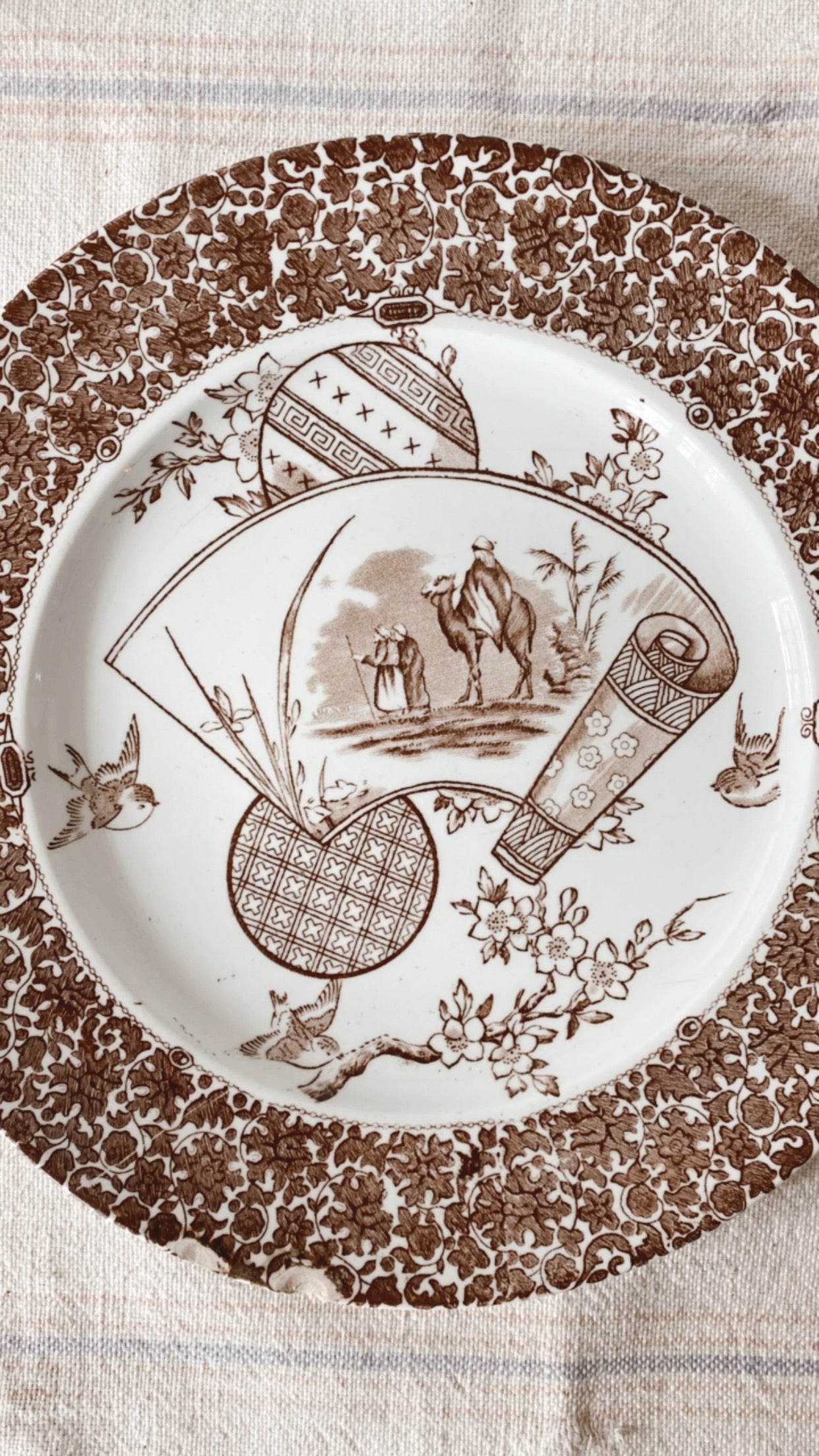 19th Century Aesthetic Ironstone Plate Collection
