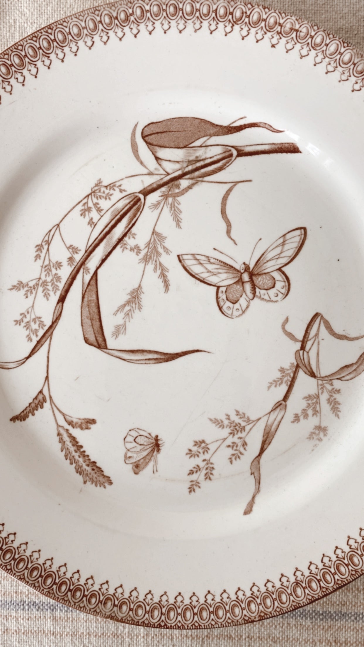 19th Century Ironstone Aesthetic Plate
