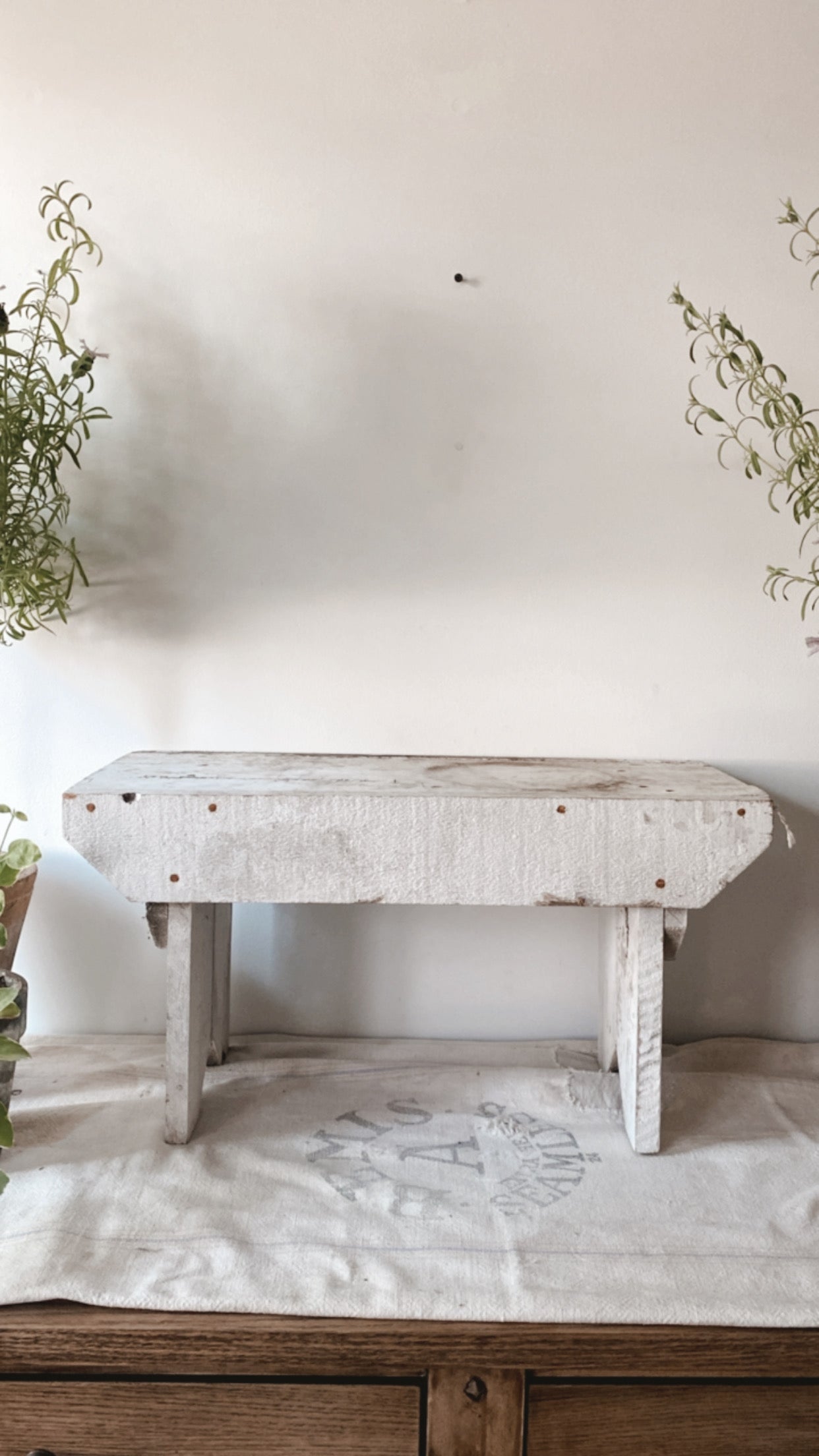 Primitive Chippy White Stool/Small Bench