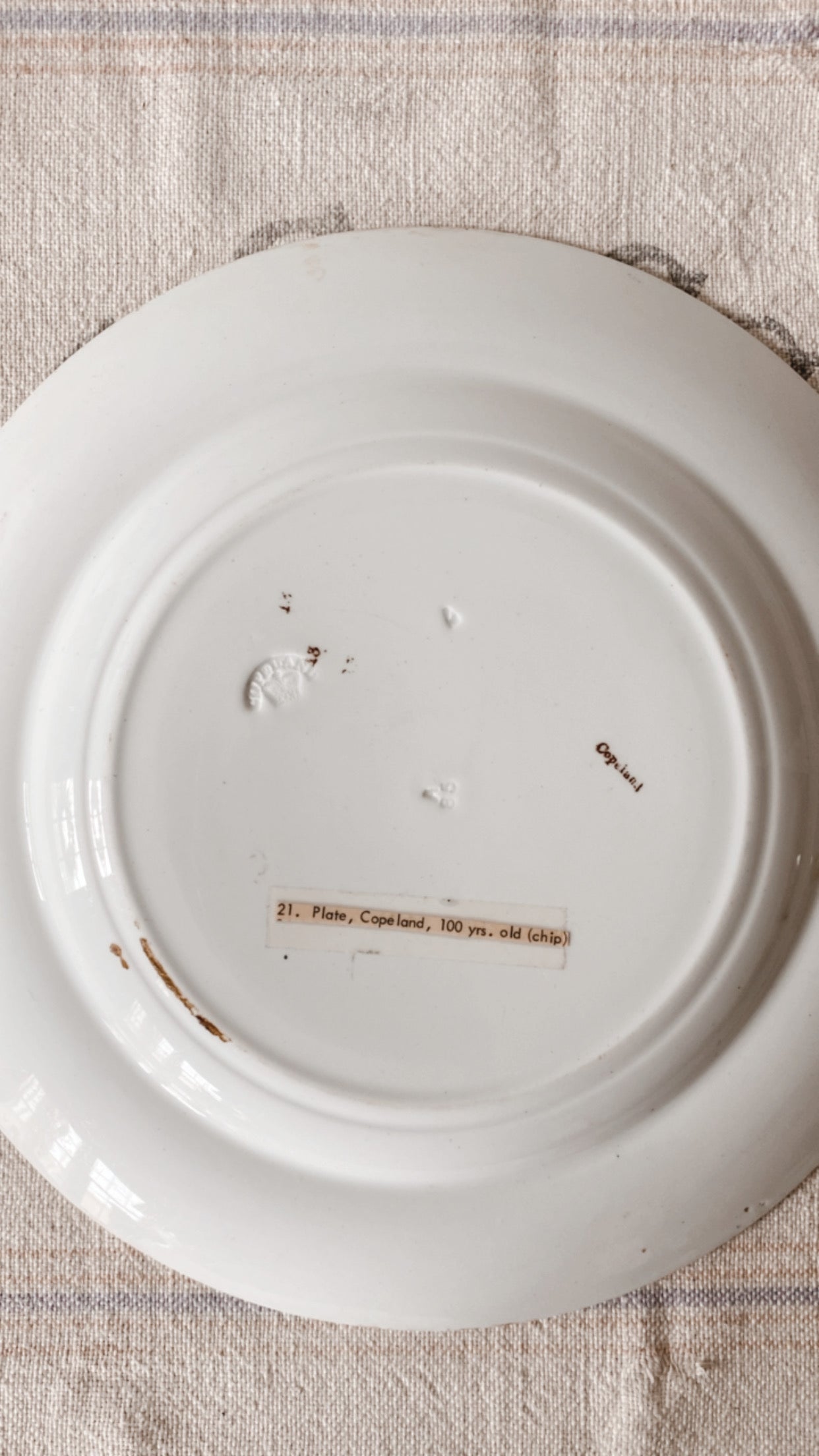 19th Century Aesthetic Ironstone Plate Collection