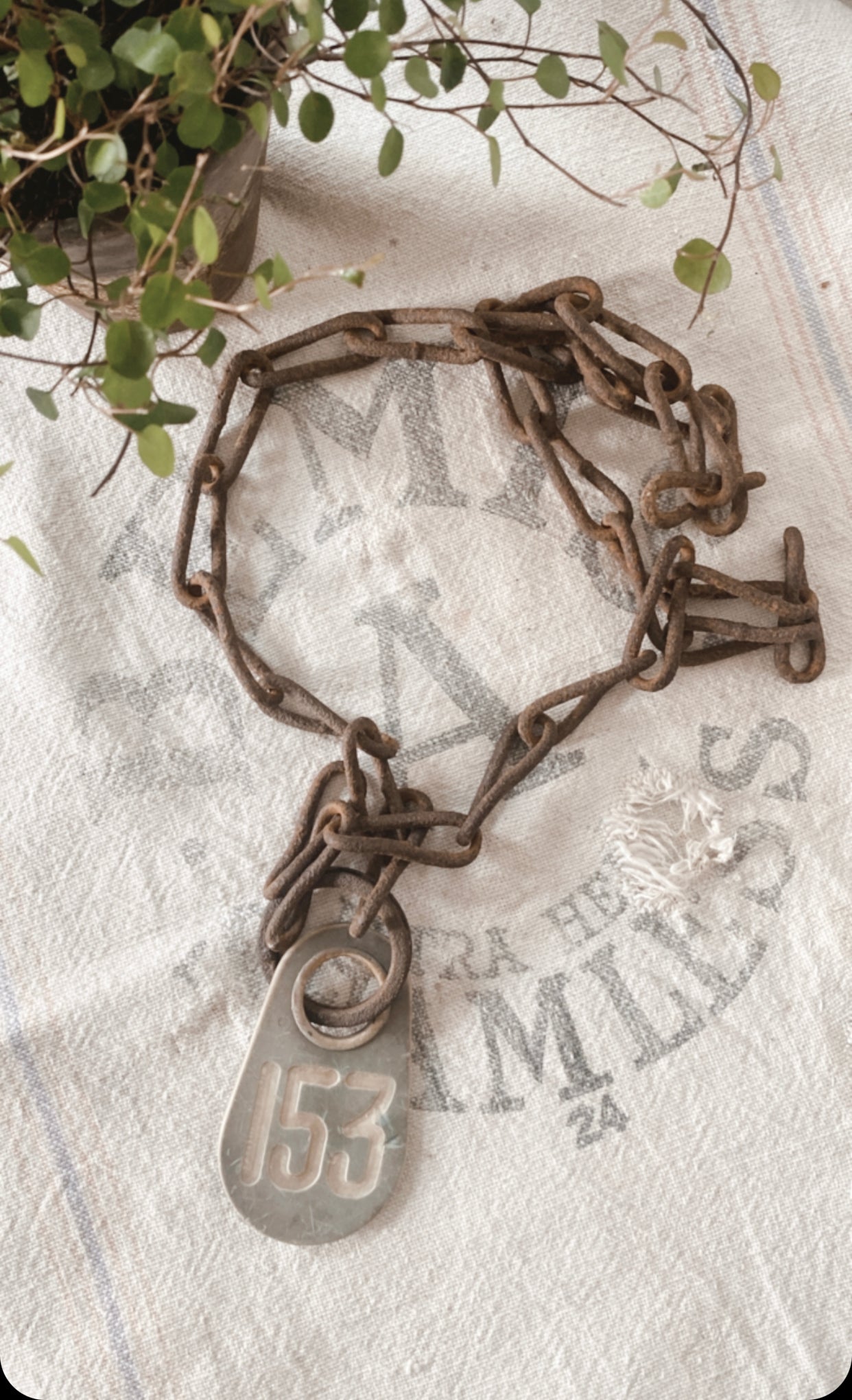 Antique Grungy Cow Tag/ Necklace