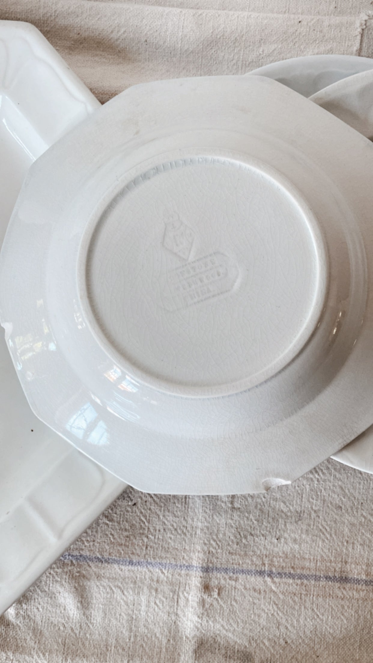 19th Century Ironstone Collection