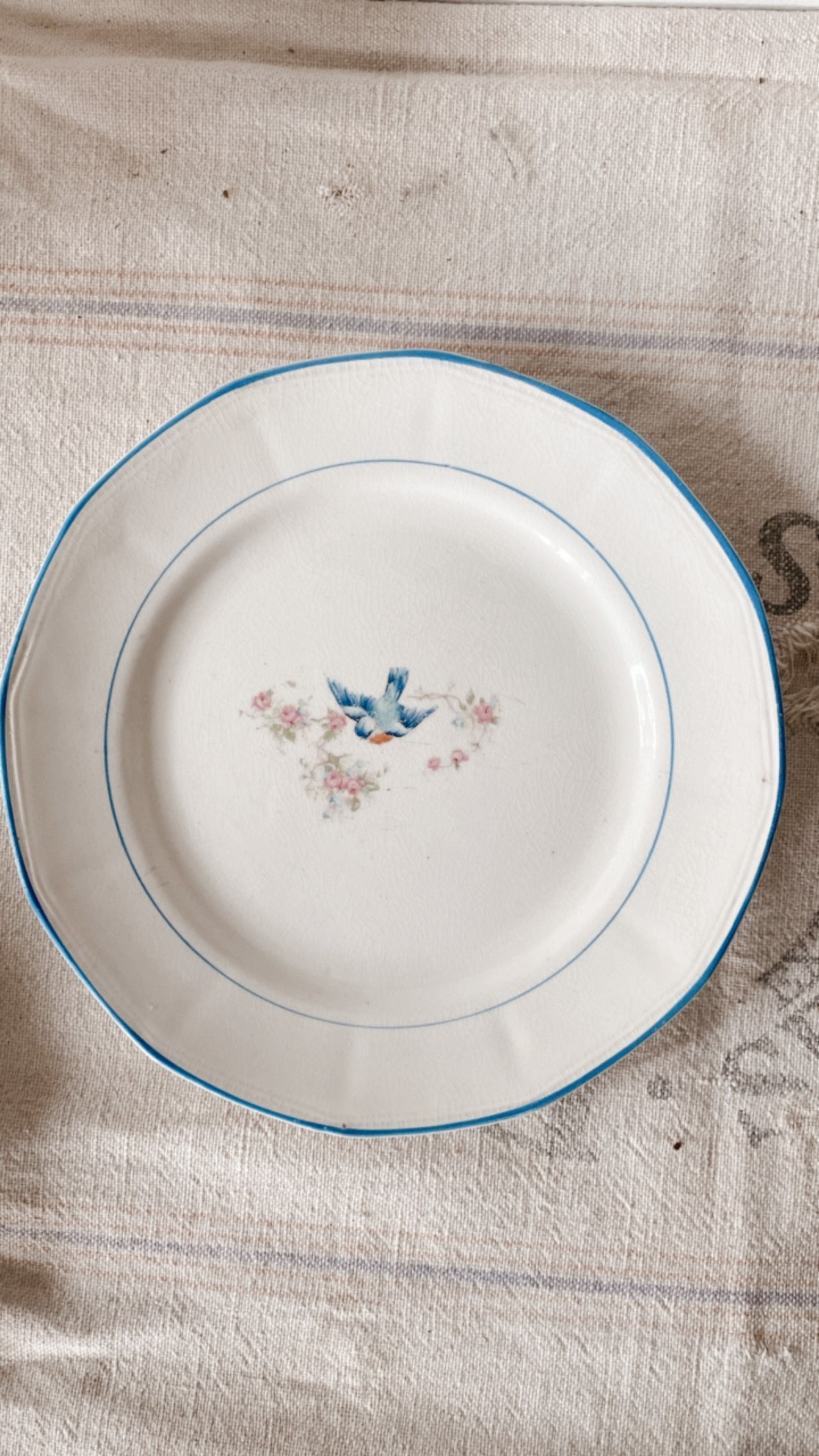 19th Century Ironstone Plates
