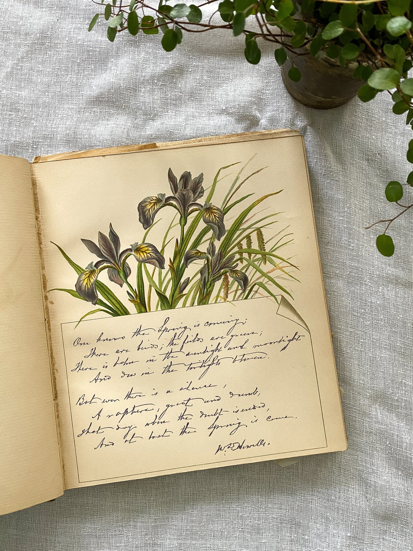 19th Century Garden Book