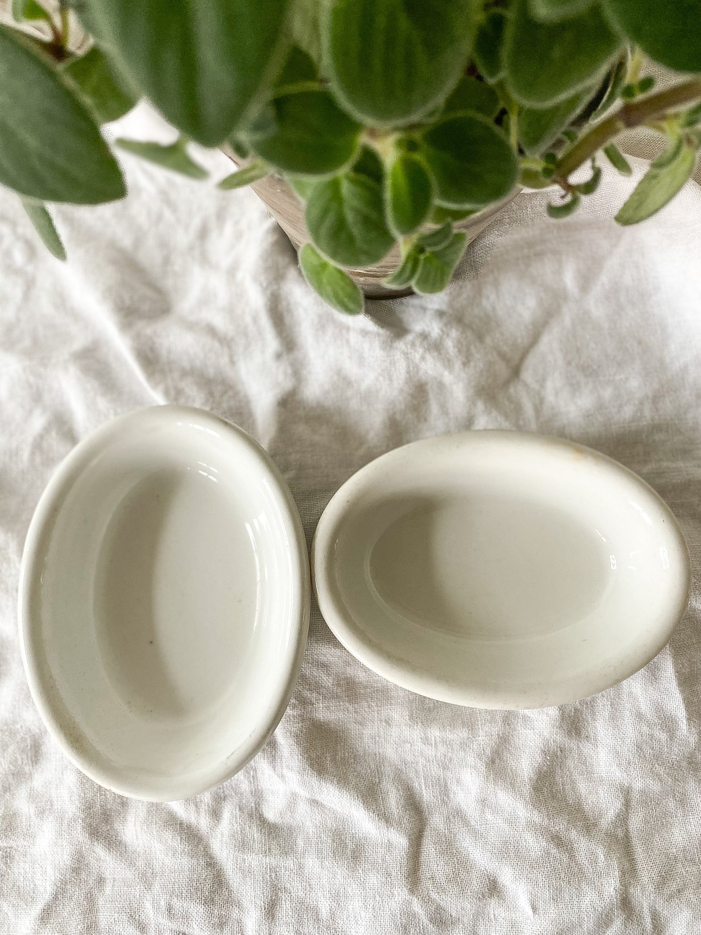 Ironstone Soap Dishes