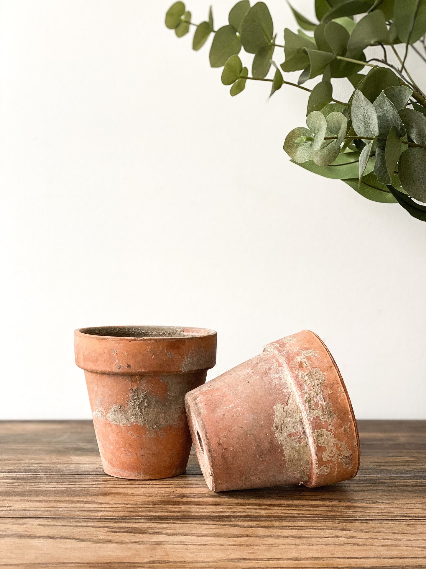 Vintage Terracotta Pots