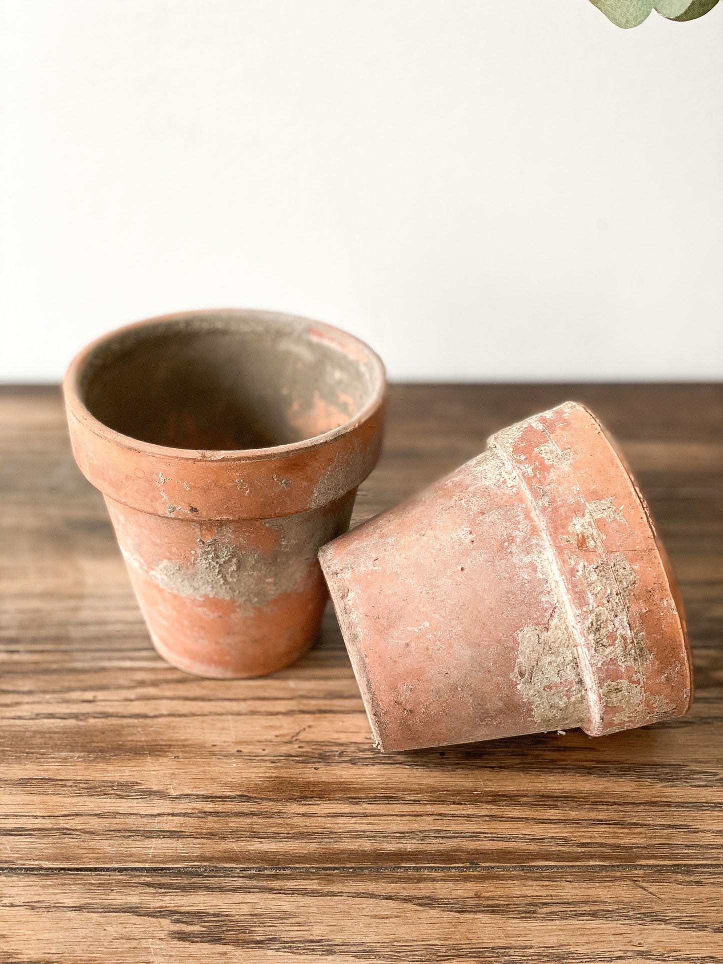 Vintage Terracotta Pots