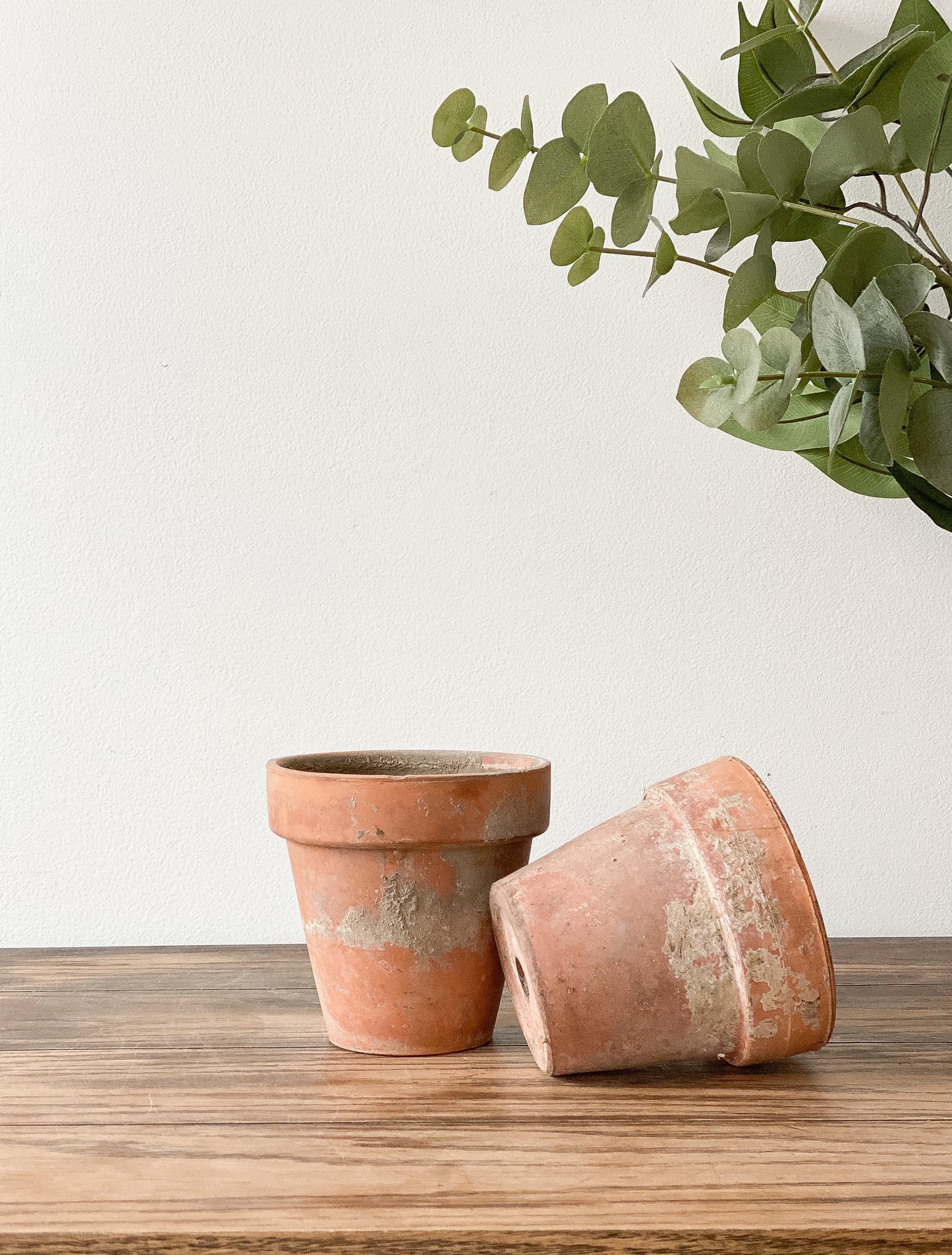 Vintage Terracotta Pots