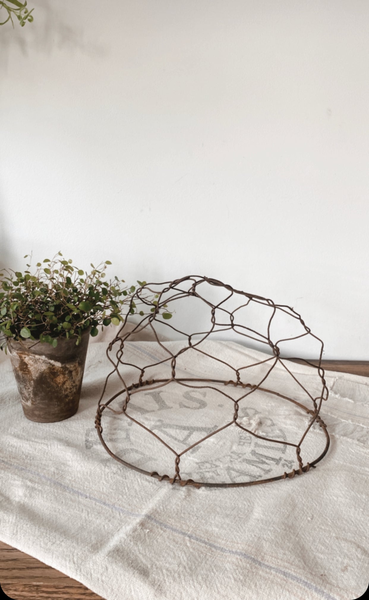 Antique Wire Horse Muzzle