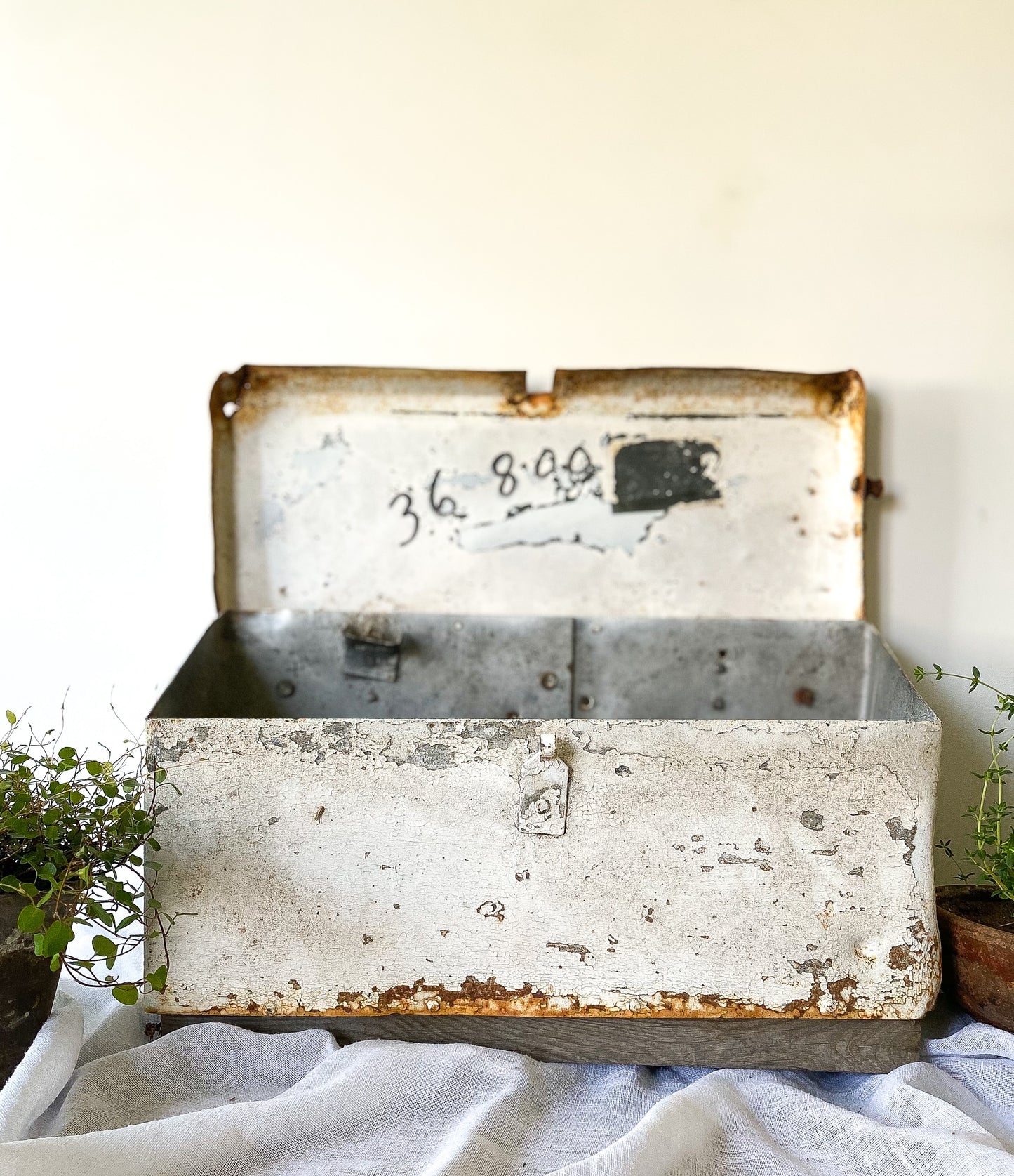 Chippy Rusty Mailbox