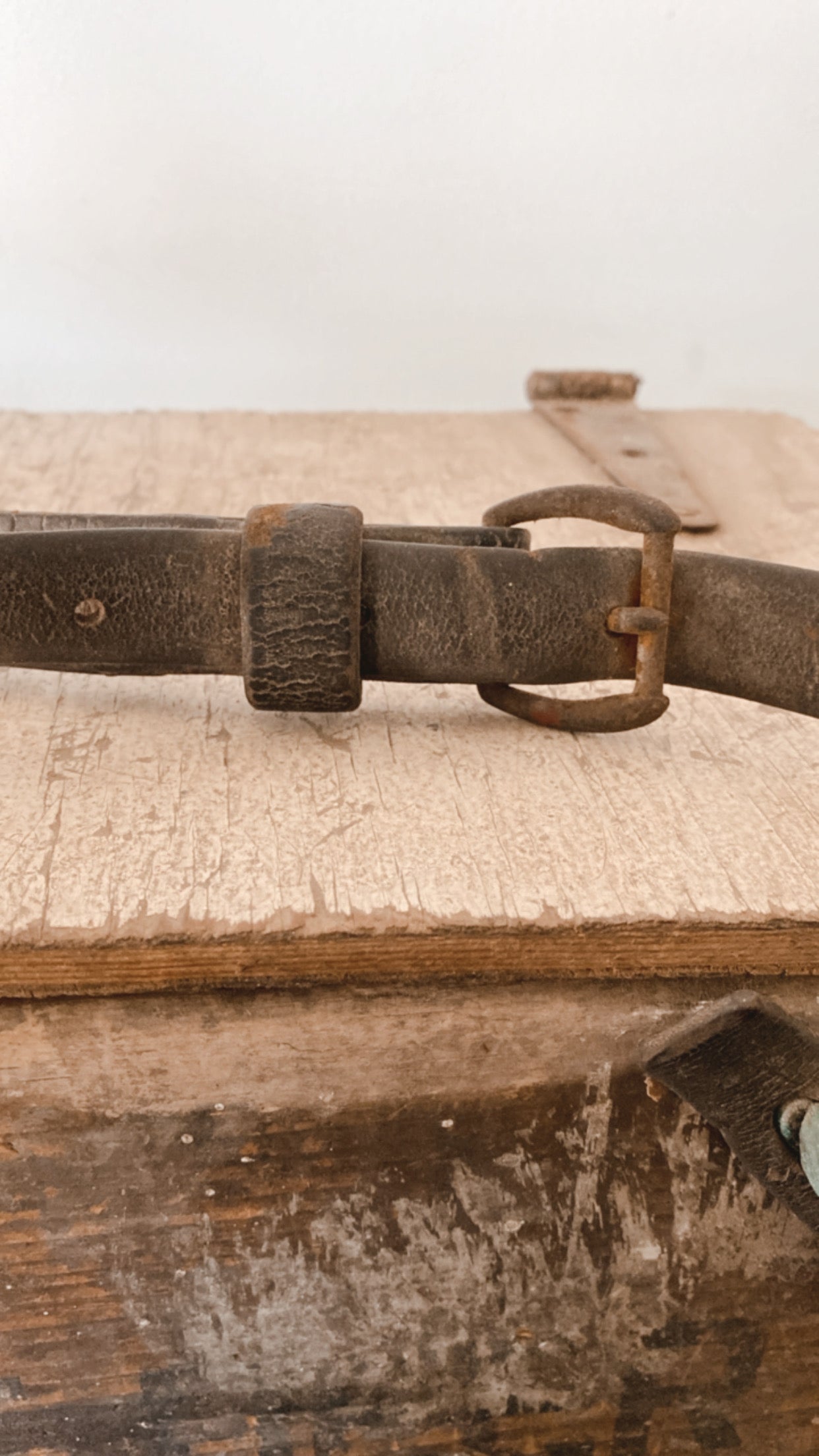 Antique Bottle Carrier