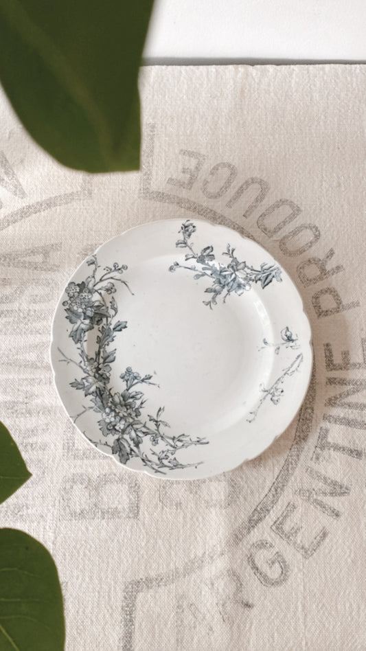 Antique Ironstone Plate