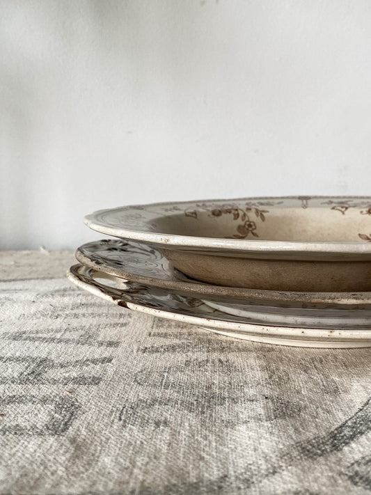19th Century Ironstone