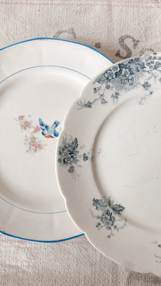 19th Century Ironstone Plates
