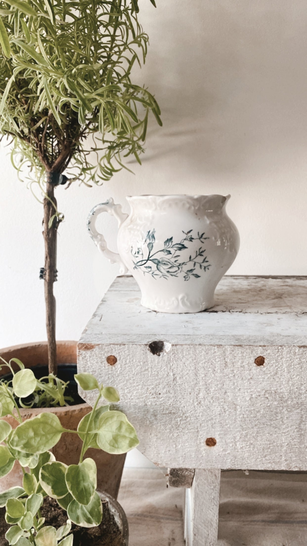 Antique Ironstone Mug