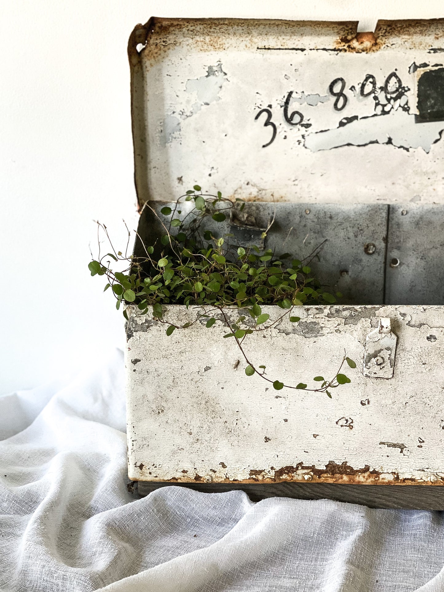 Chippy Rusty Mailbox