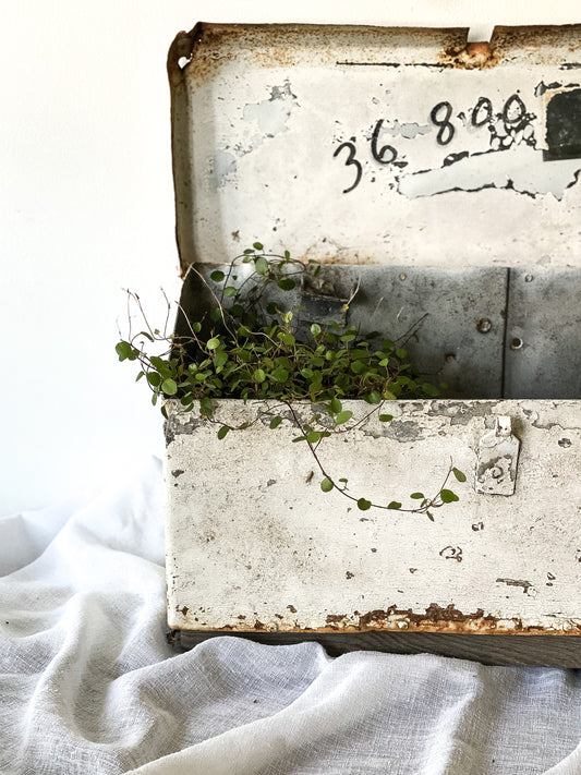 Chippy Rusty Mailbox