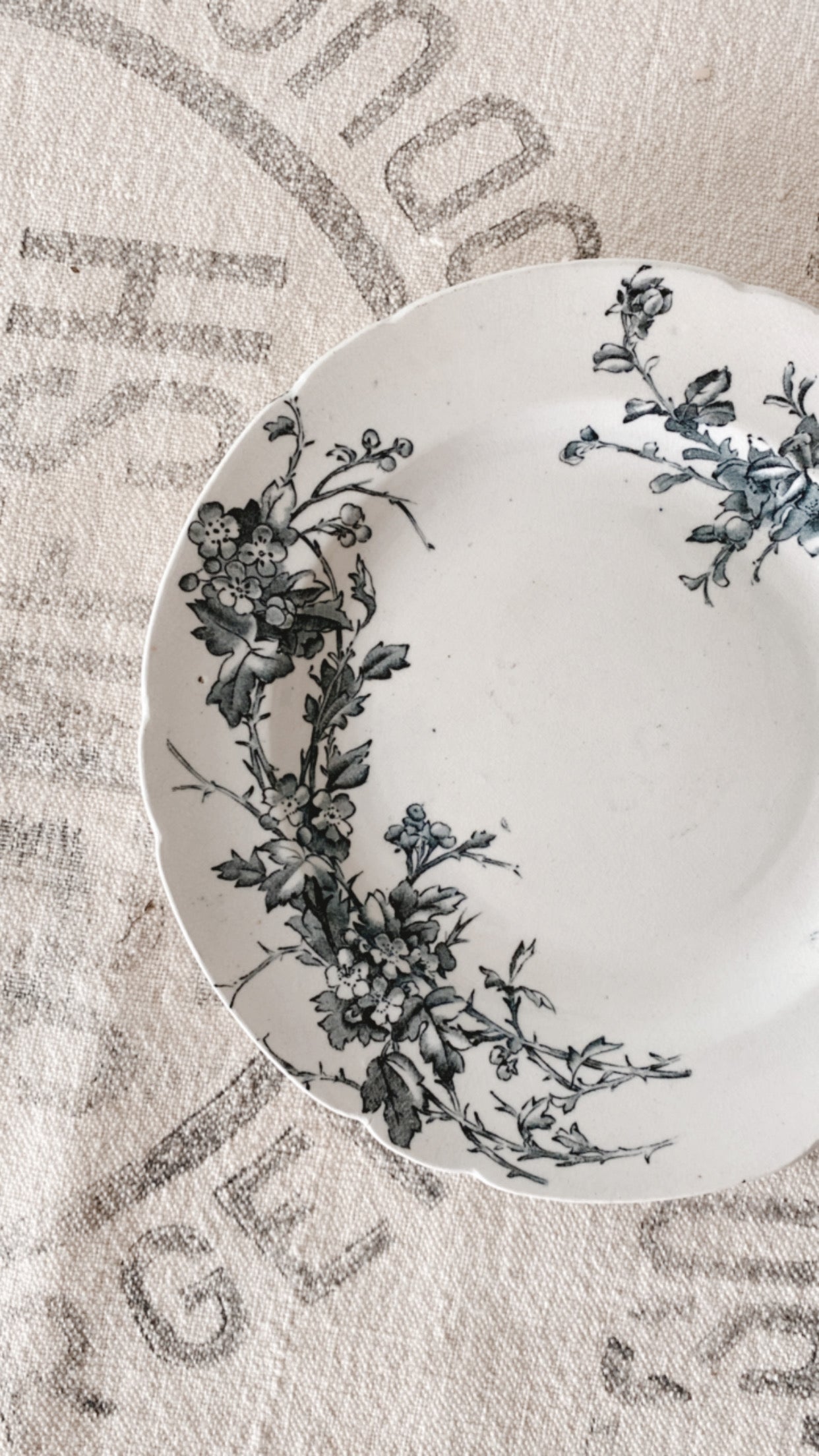 Antique Ironstone Plate