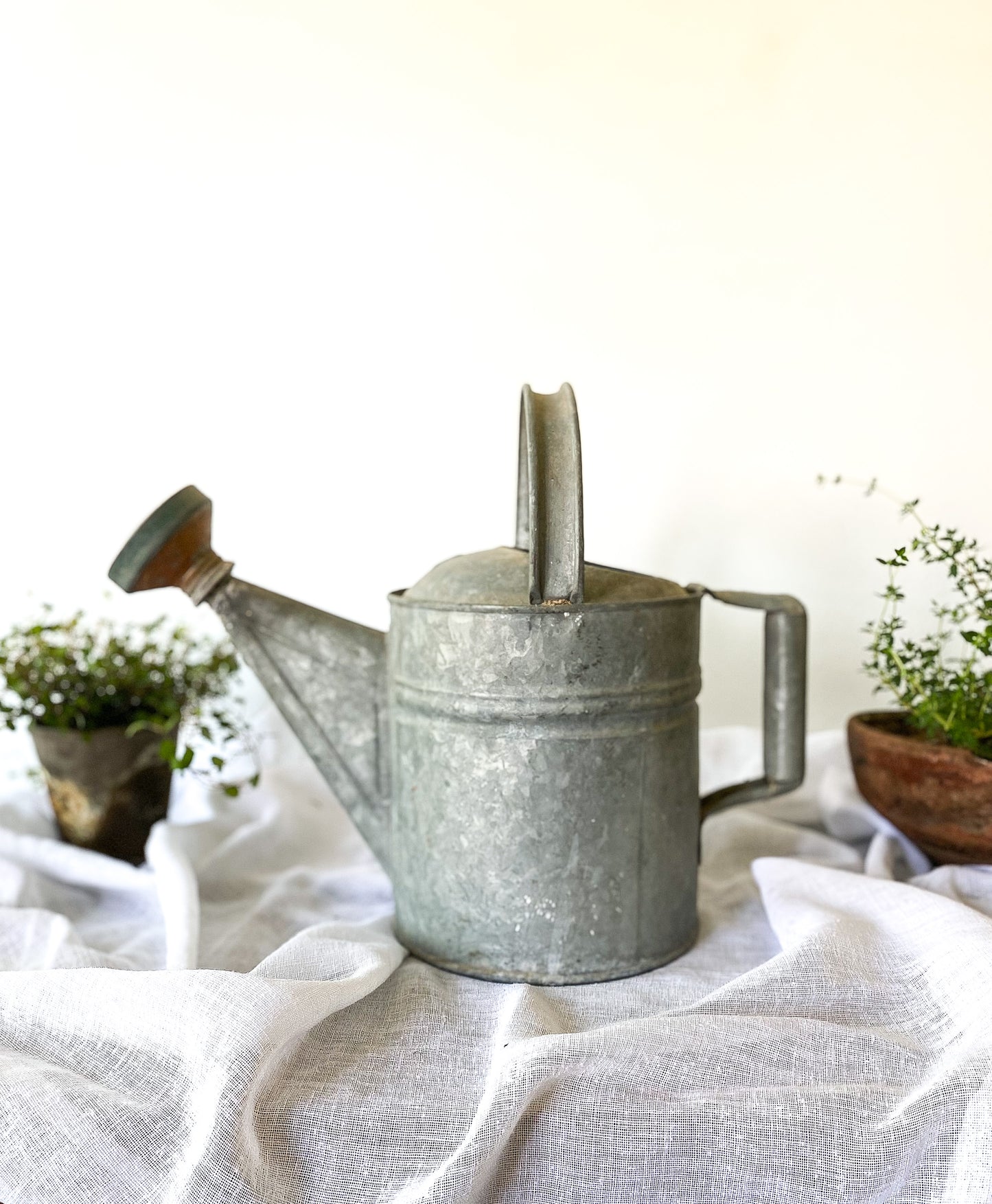 Vintage Galvanized Watering Can