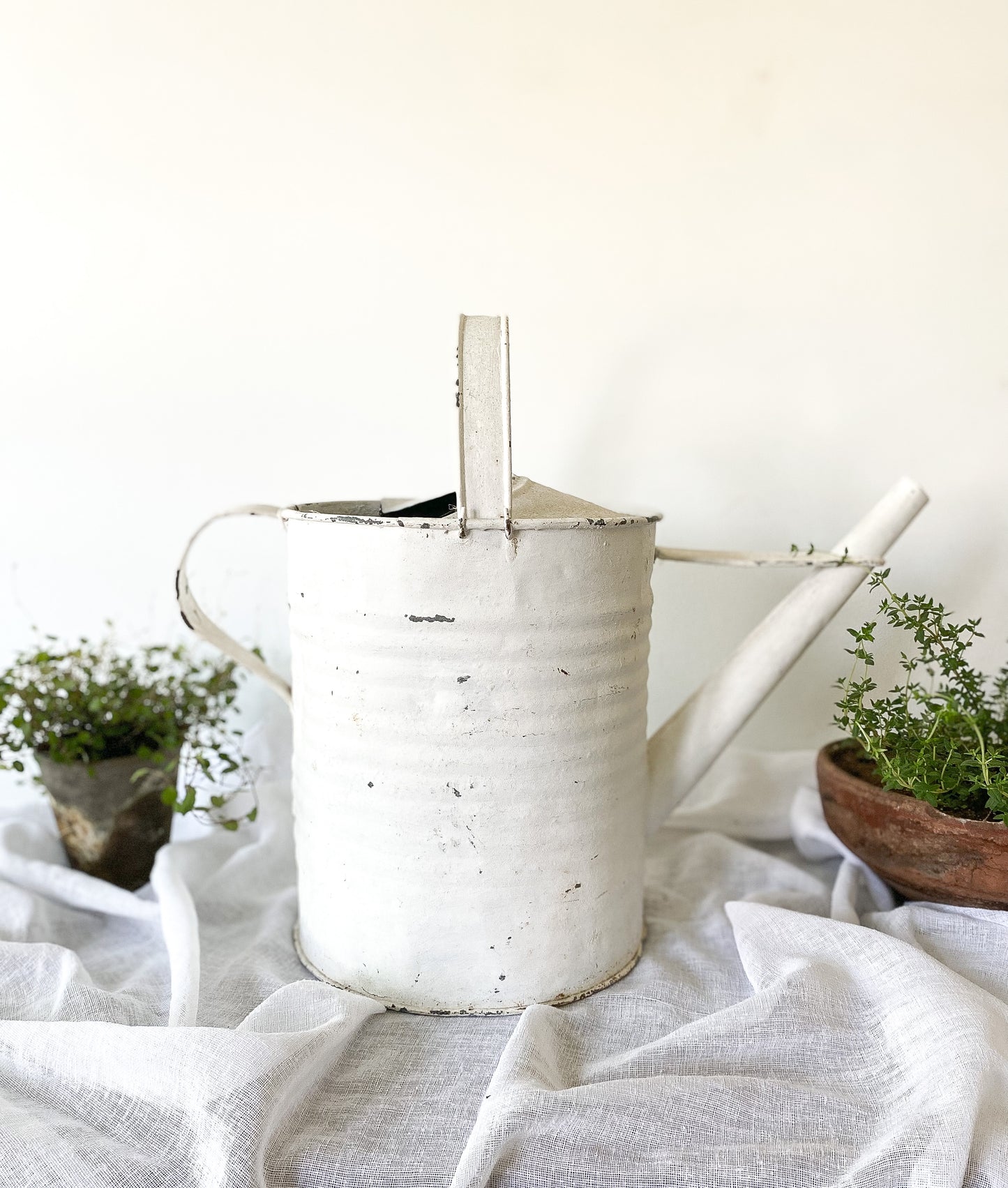 Large Chippy White Watering Can