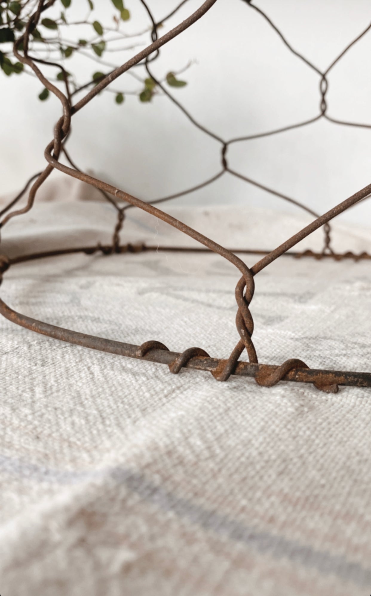 Antique Wire Horse Muzzle