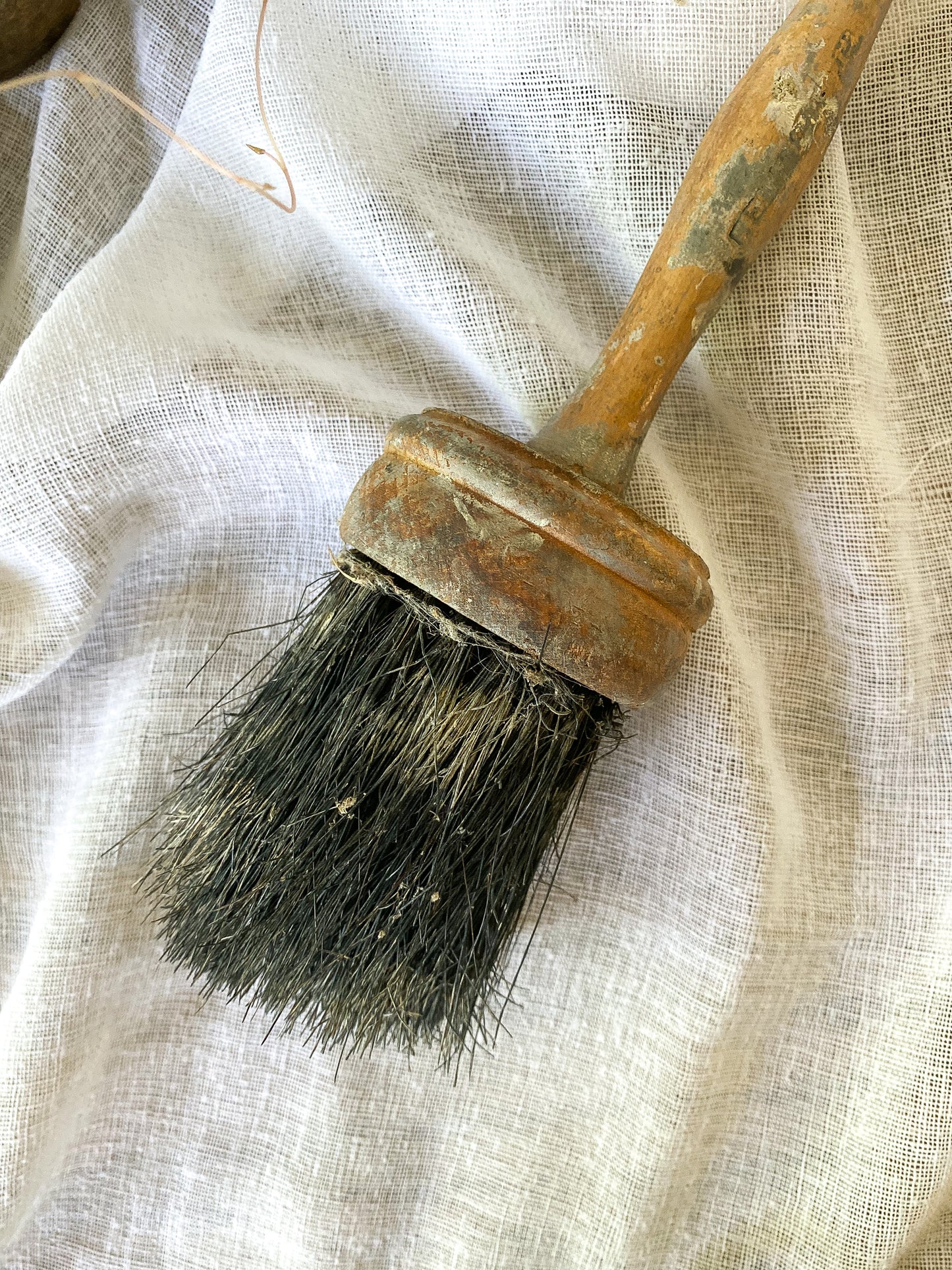 Antique Horse Hair Brush