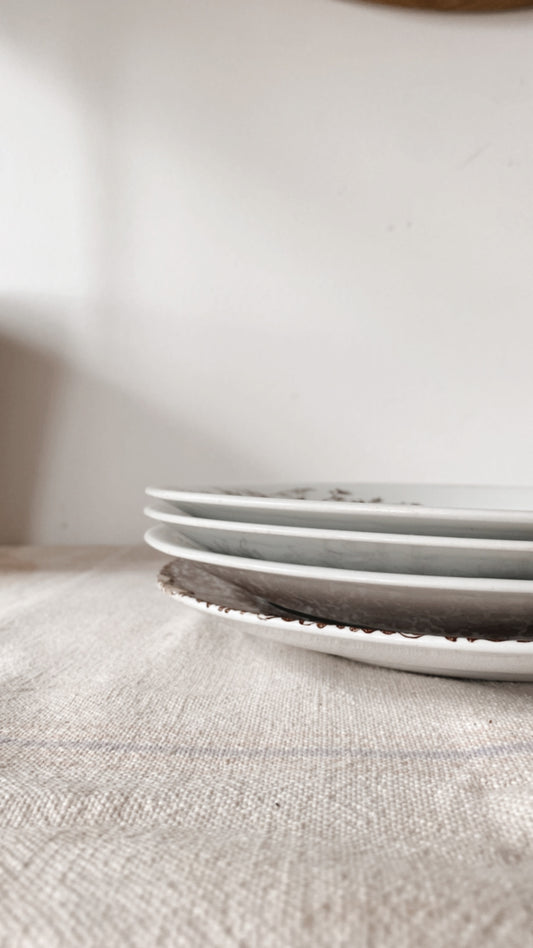 19th Century Aesthetic Ironstone Plate Collection
