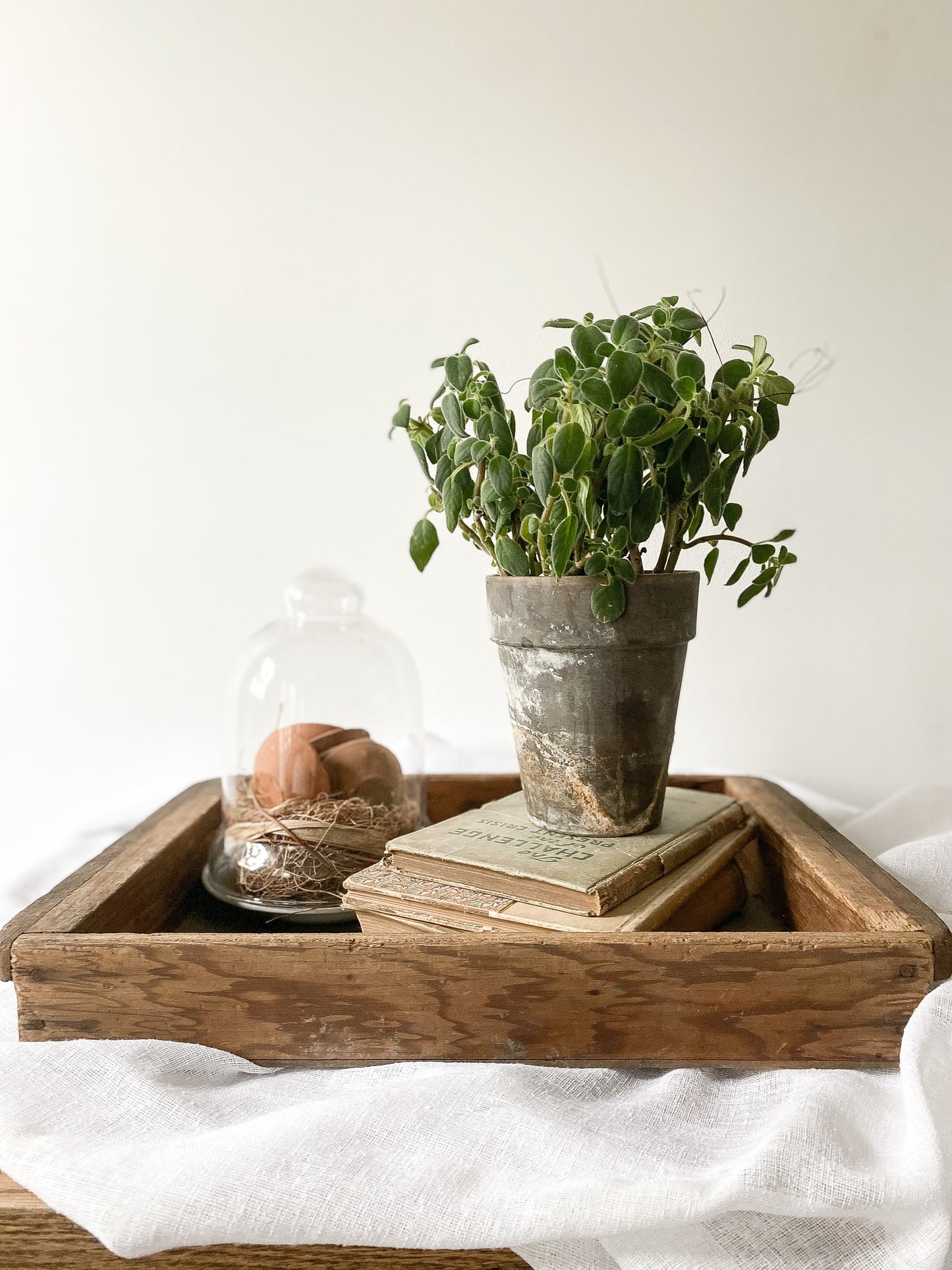 Vintage Garden/Flower Box