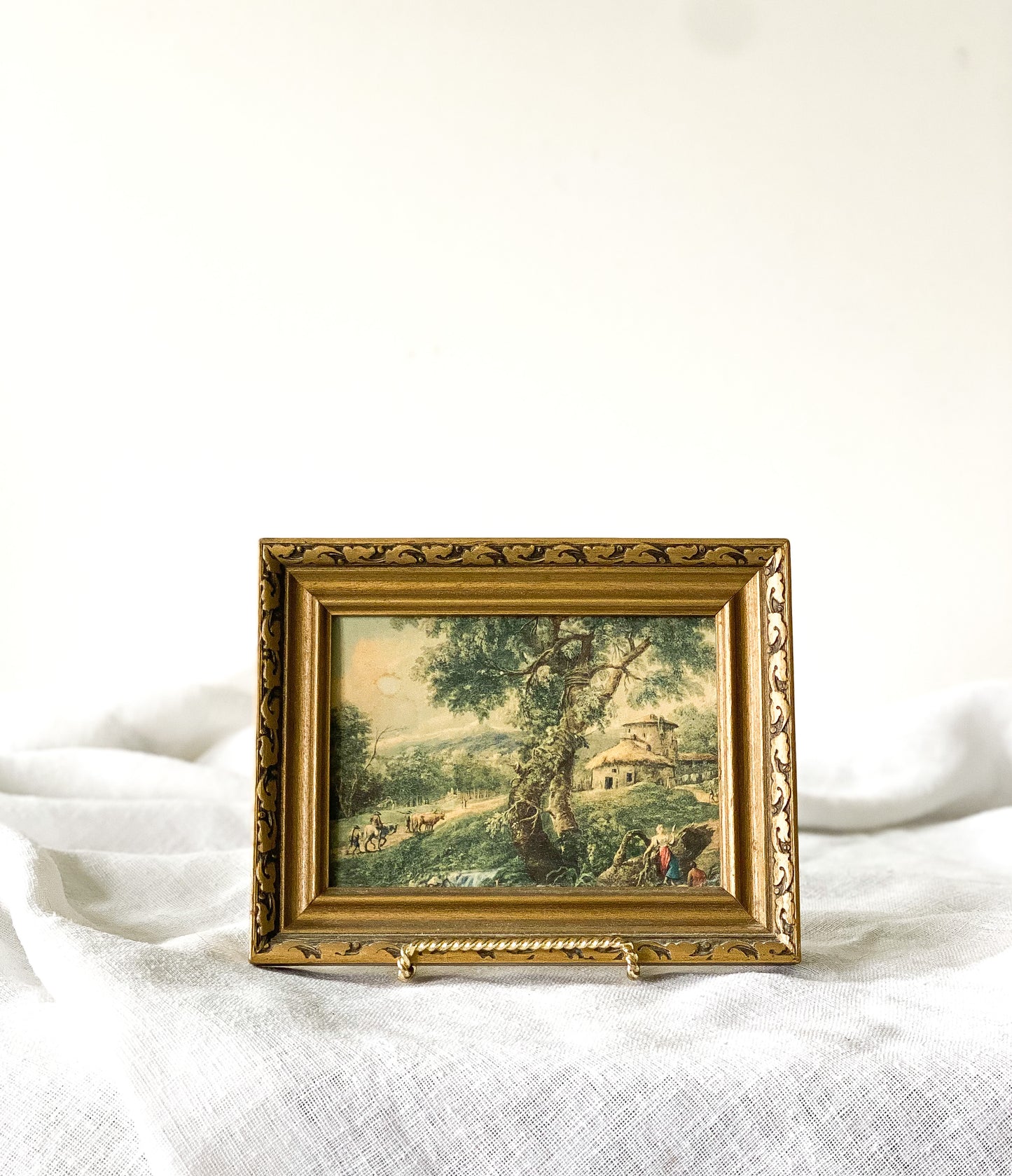 Vintage Landscape Framed Photo
