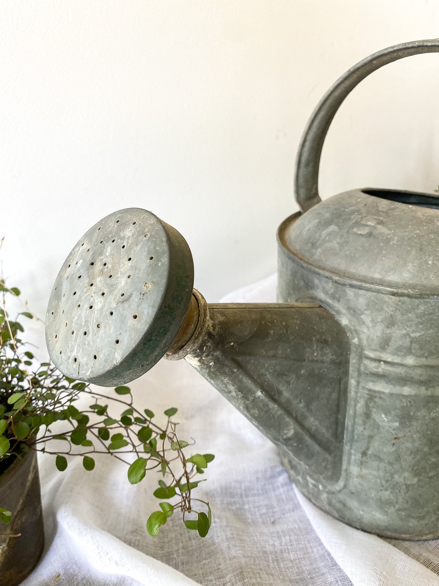 Vintage Galvanized Watering Can
