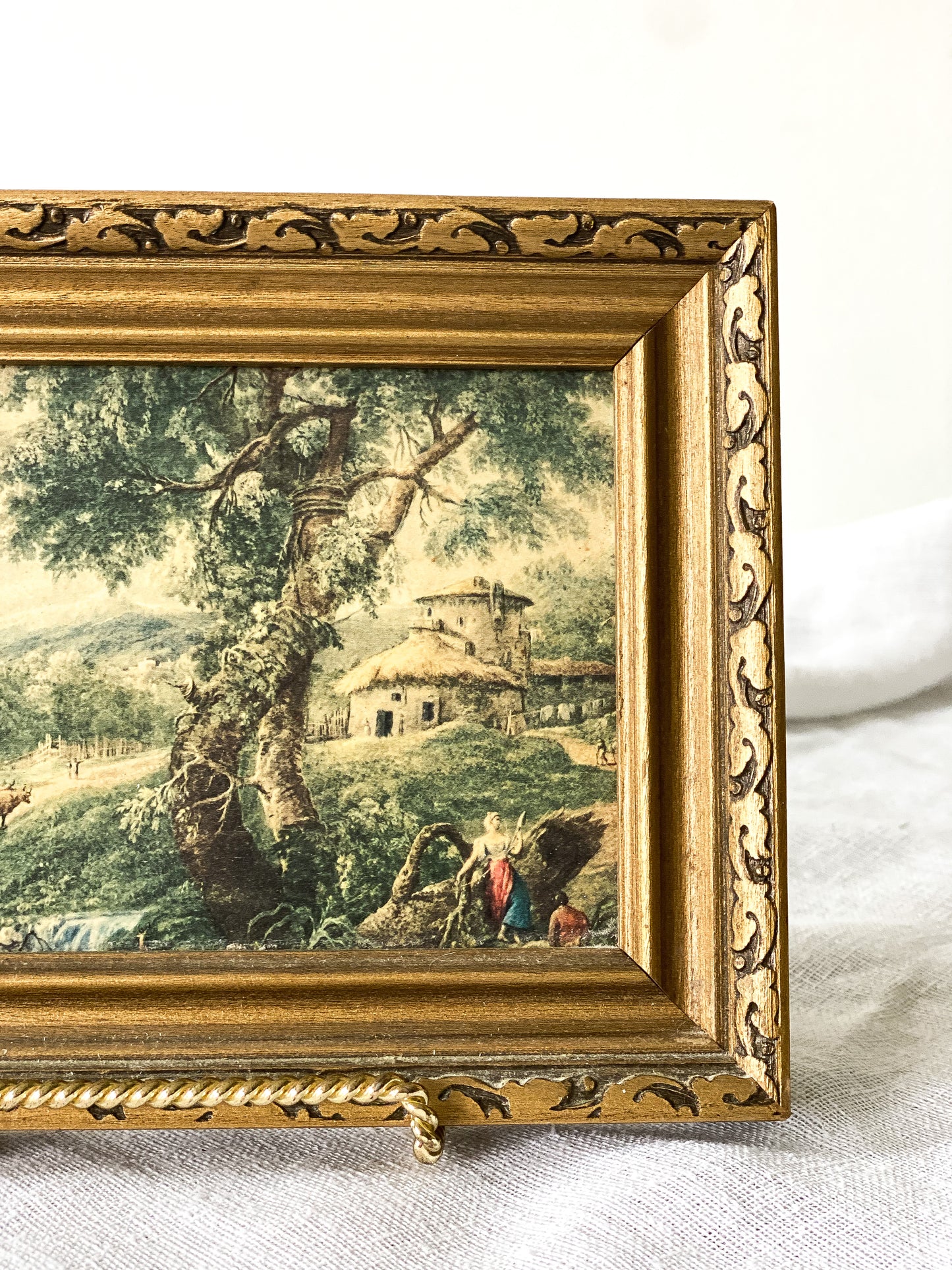 Vintage Landscape Framed Photo