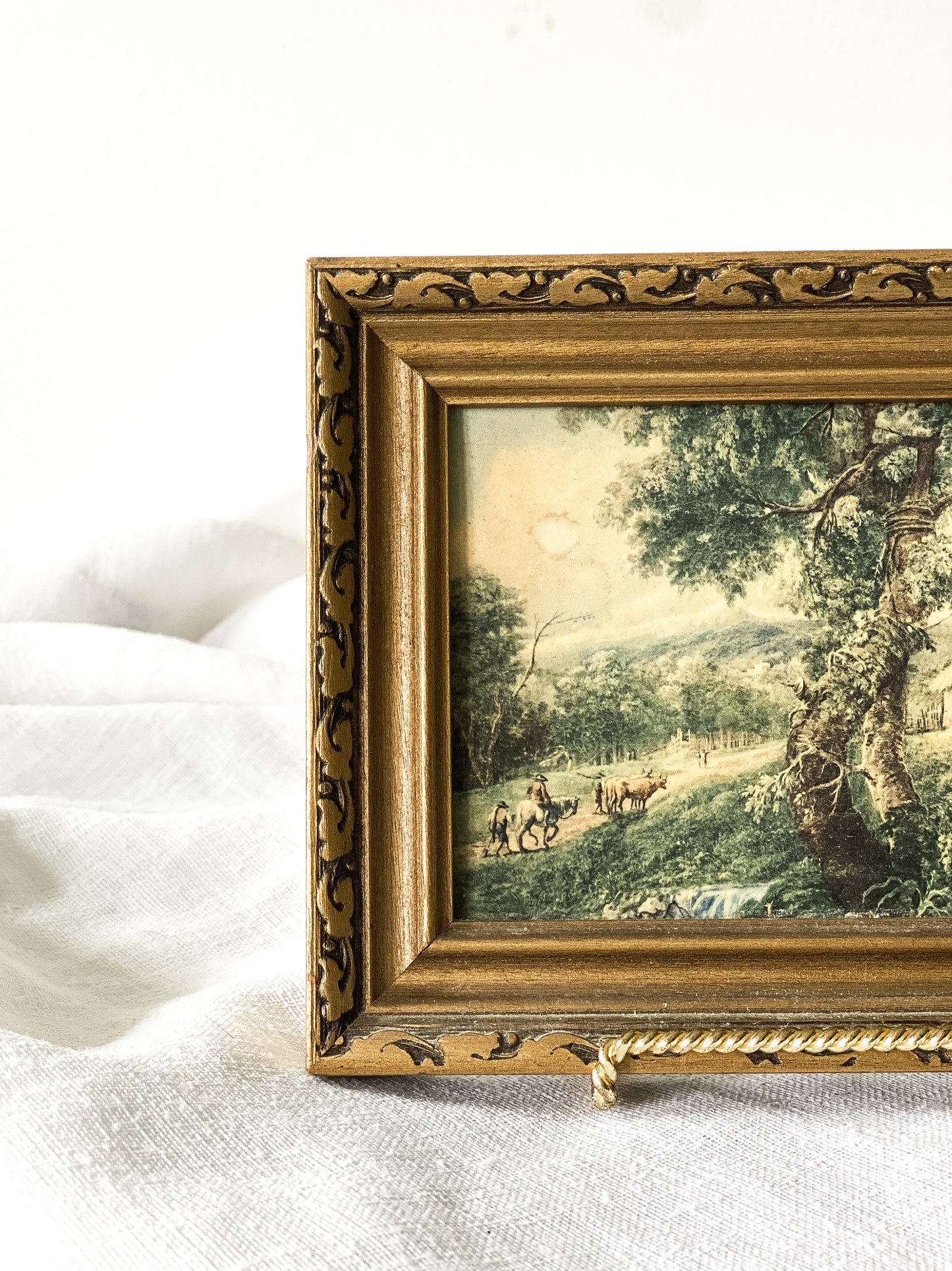 Vintage Landscape Framed Photo