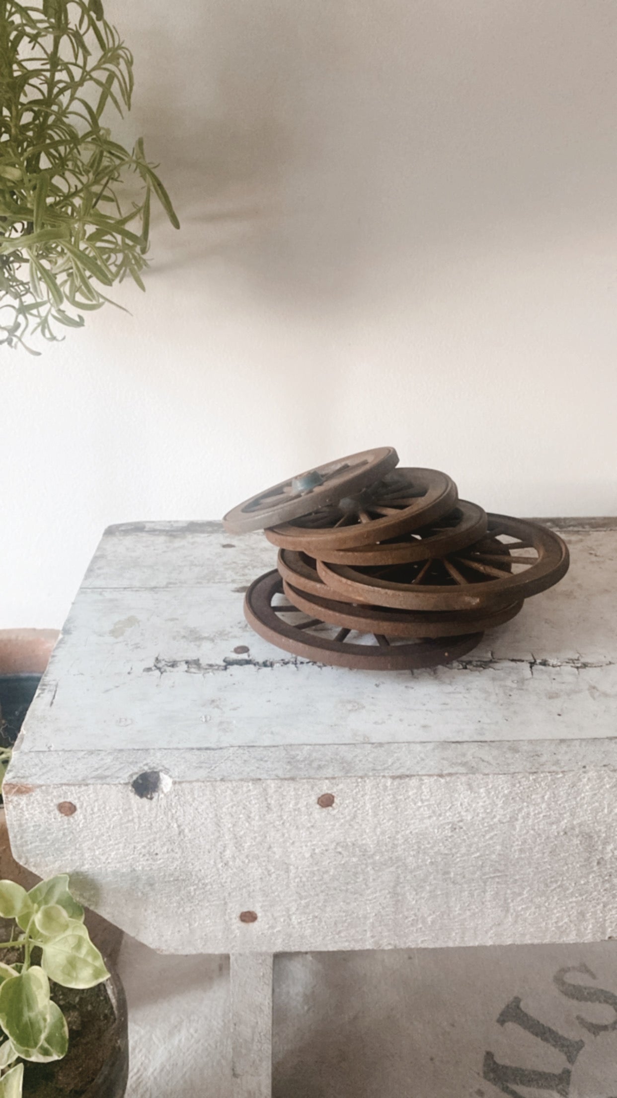 Antique Buggy Wheels