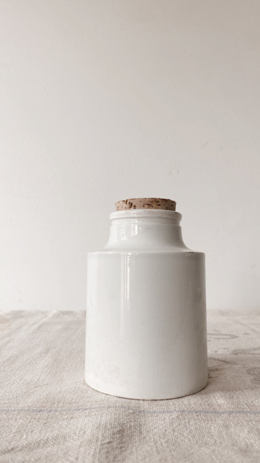 19th Century French Ironstone Mustard Pot