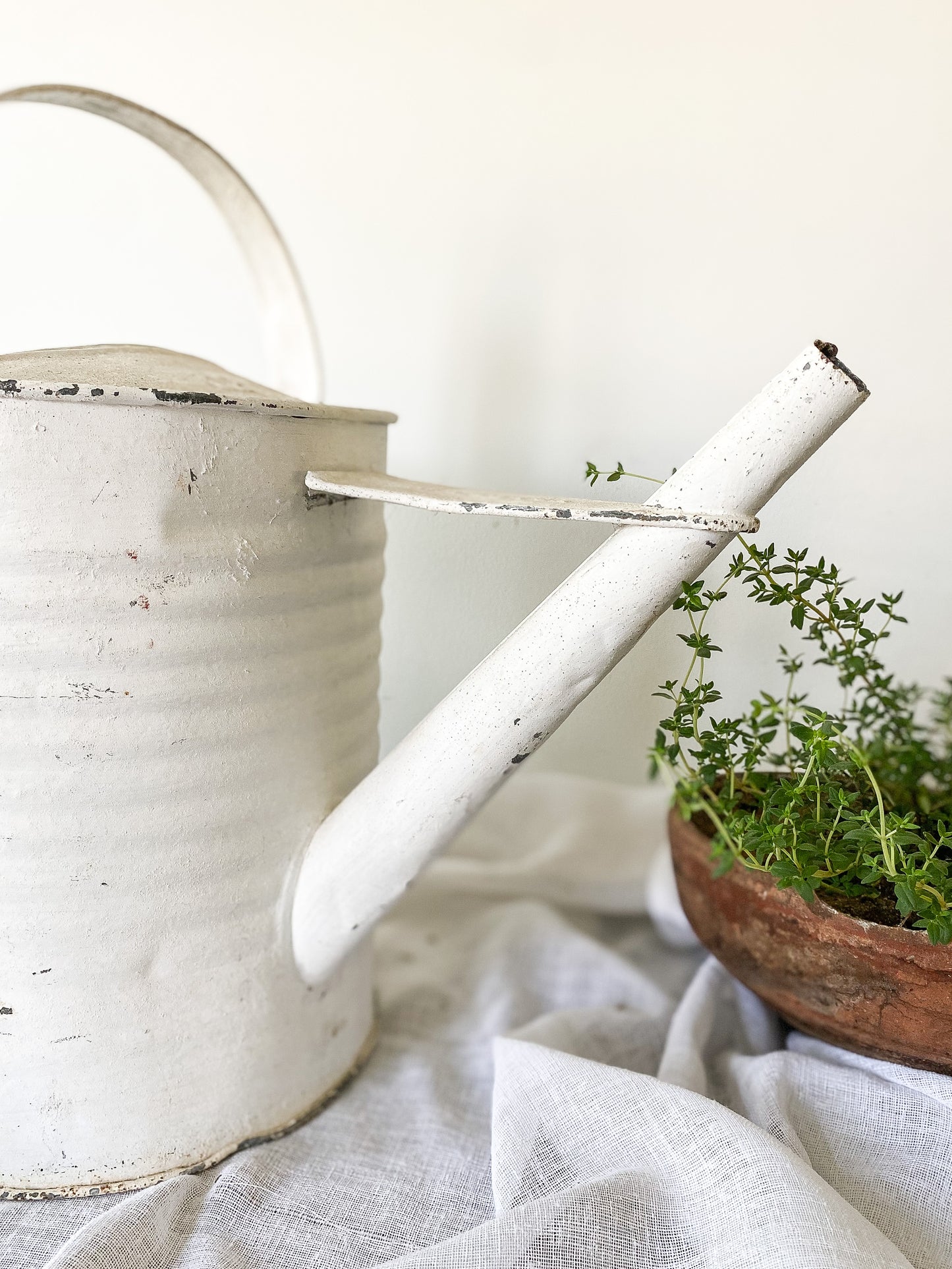 Large Chippy White Watering Can