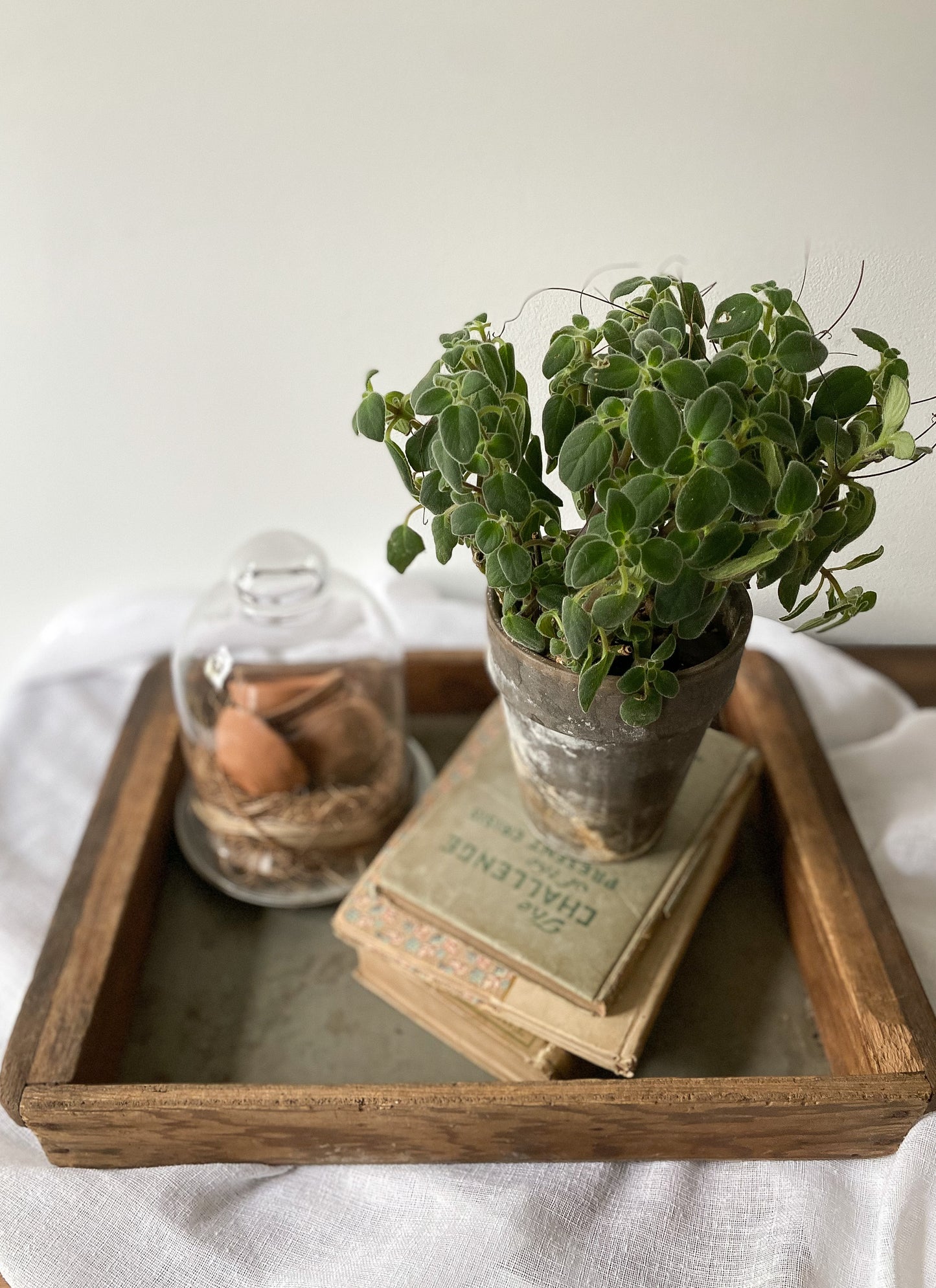 Vintage Garden/Flower Box