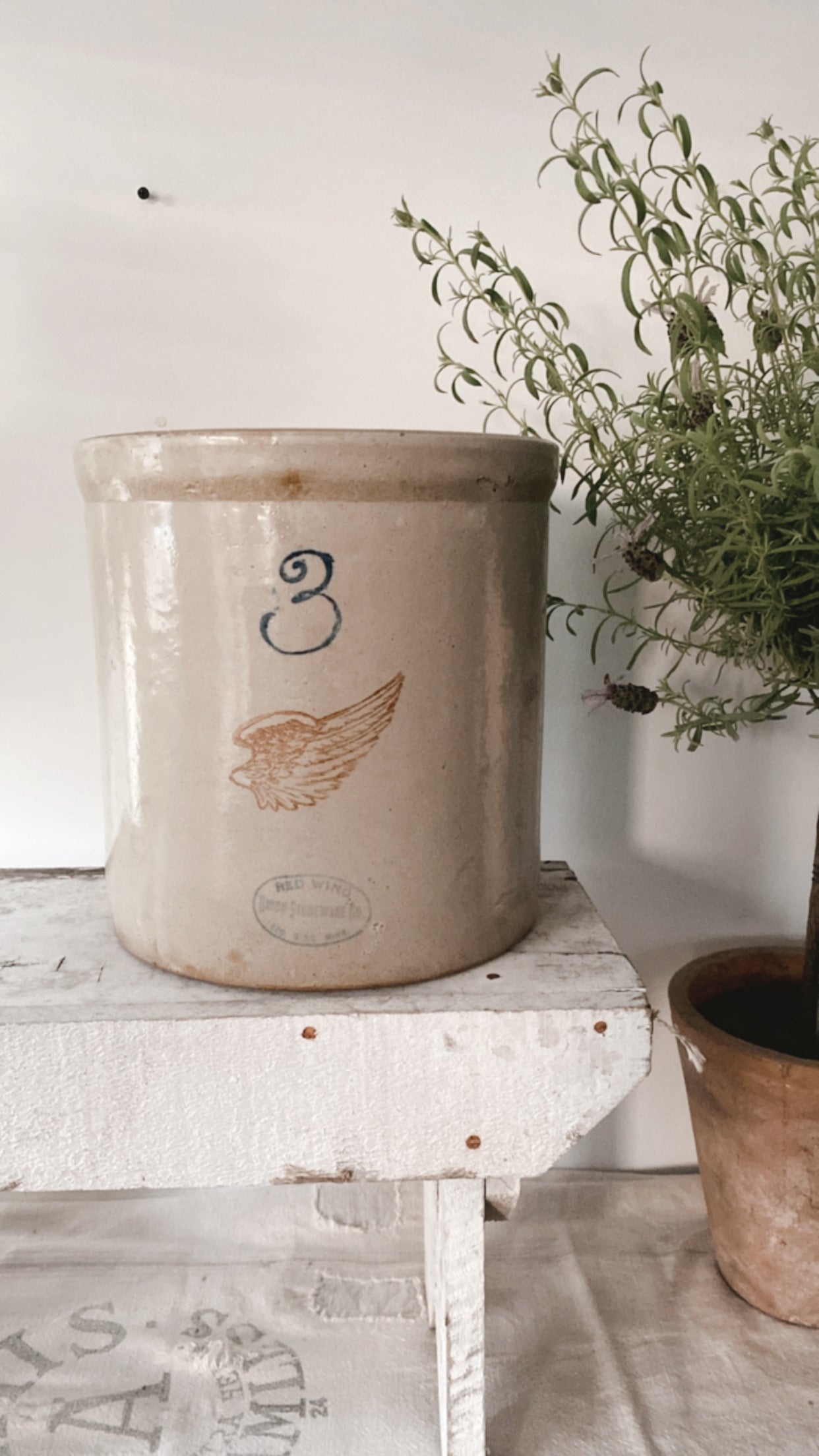 3 Gallon Red Wing Crock